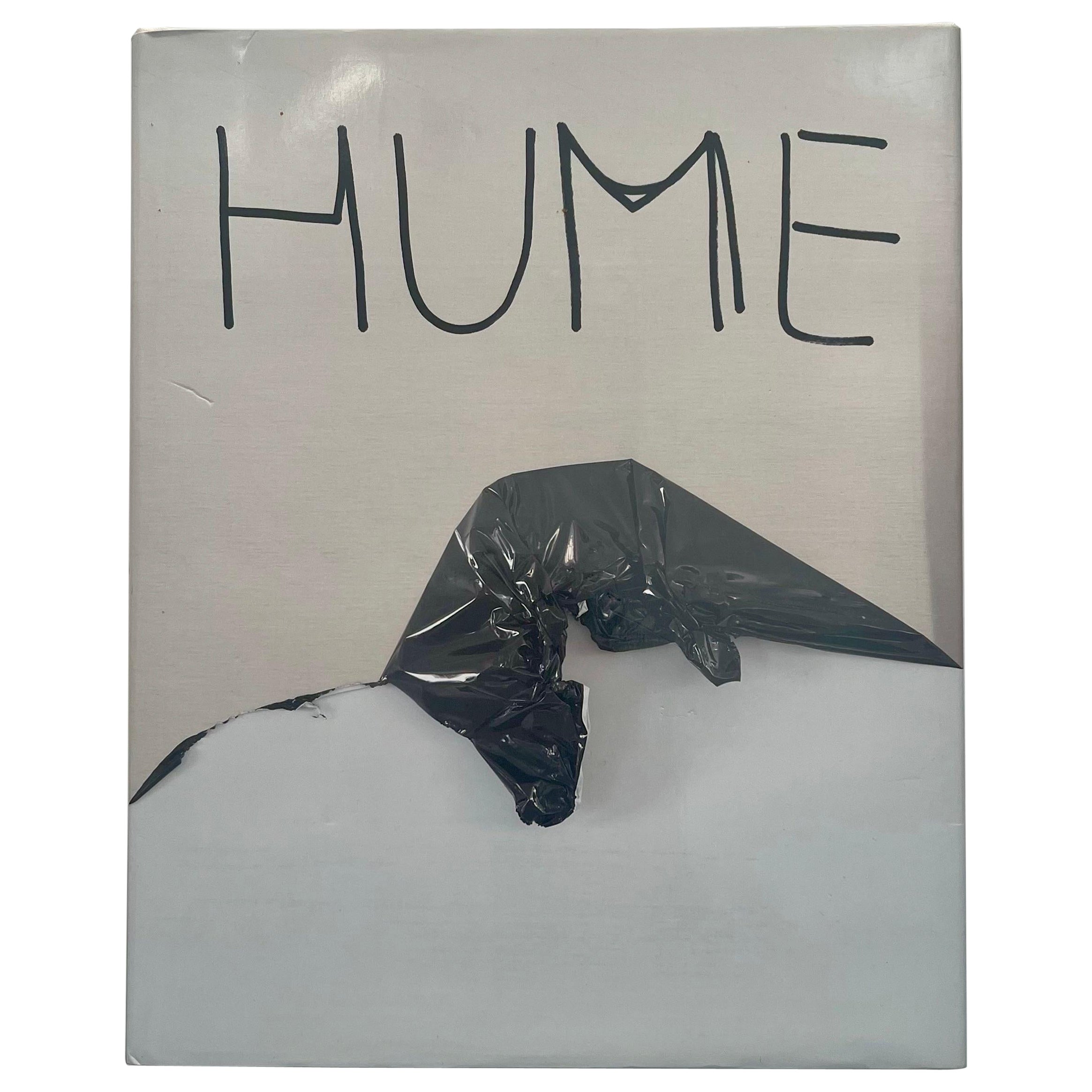 Gary Hume, Eine Katze auf Lamm, Monographie, 1. Auflage 2009 im Angebot