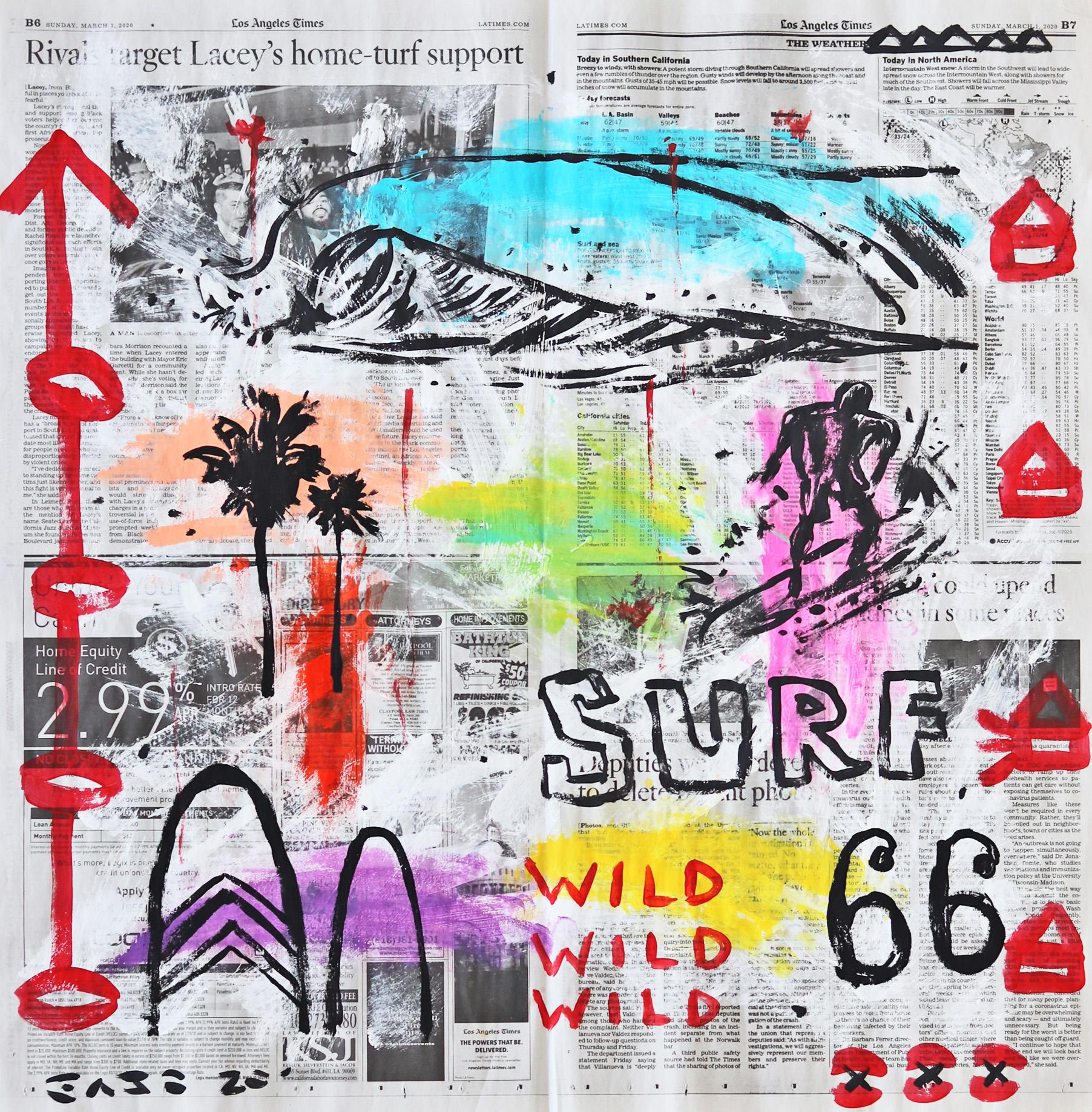 Wild Surf 66