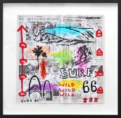 Wild Surf 66