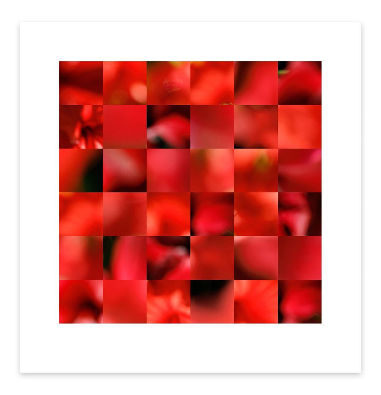 Abstract Print Gary Mankus - 36 Hibiscus