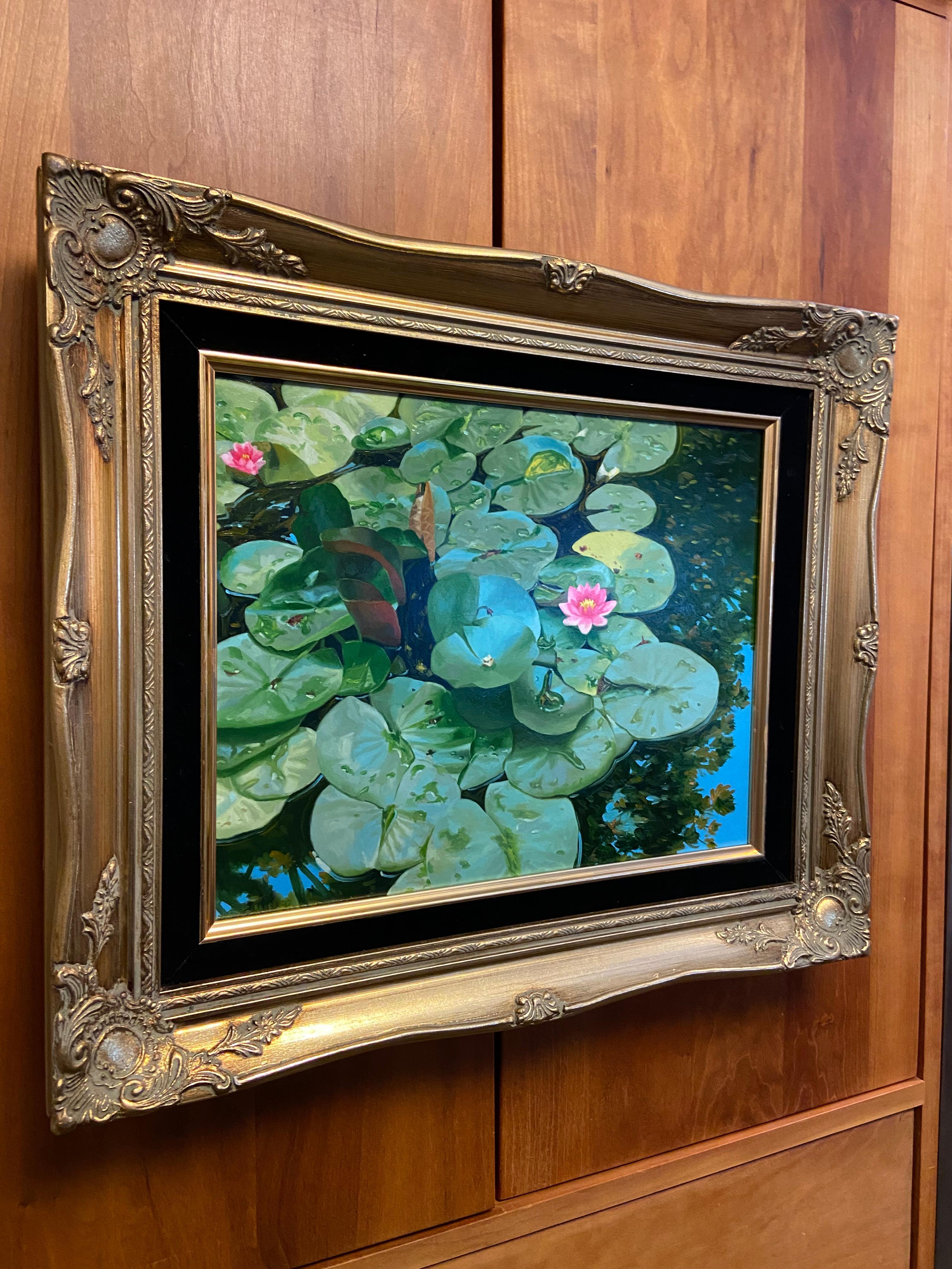 Lily Pad de Gary Miller
Óleo Americana tradicional
Tamaño de imagen 11x14
17x20