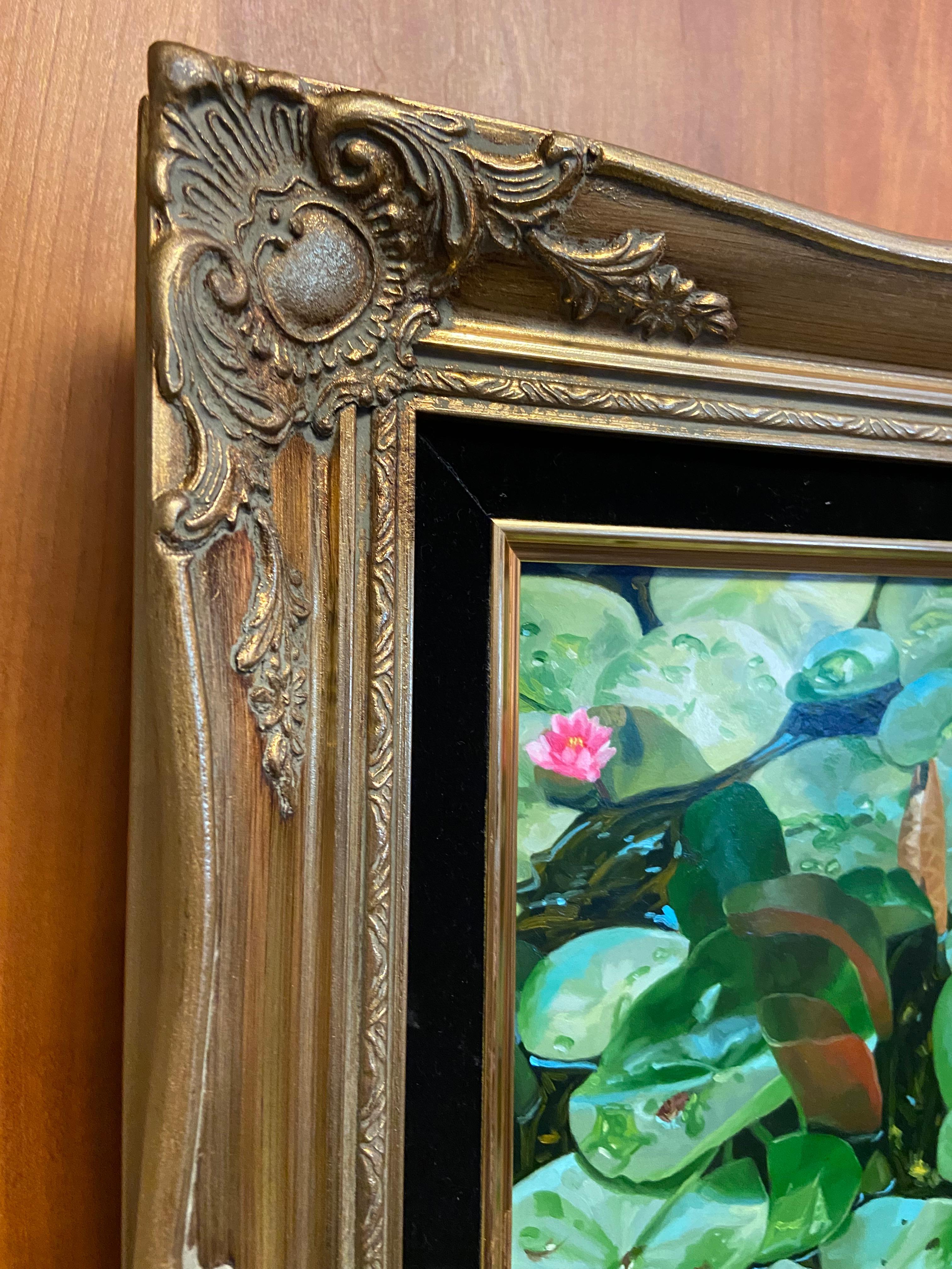 Lily Pad 1