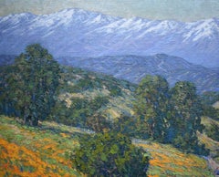 "CAMINO A LAS MONTAÑAS" ENMARCADO 42,25 X 52,25 FLORES SILVESTRES DE CALIFORNIA IMPRESIONANTES
