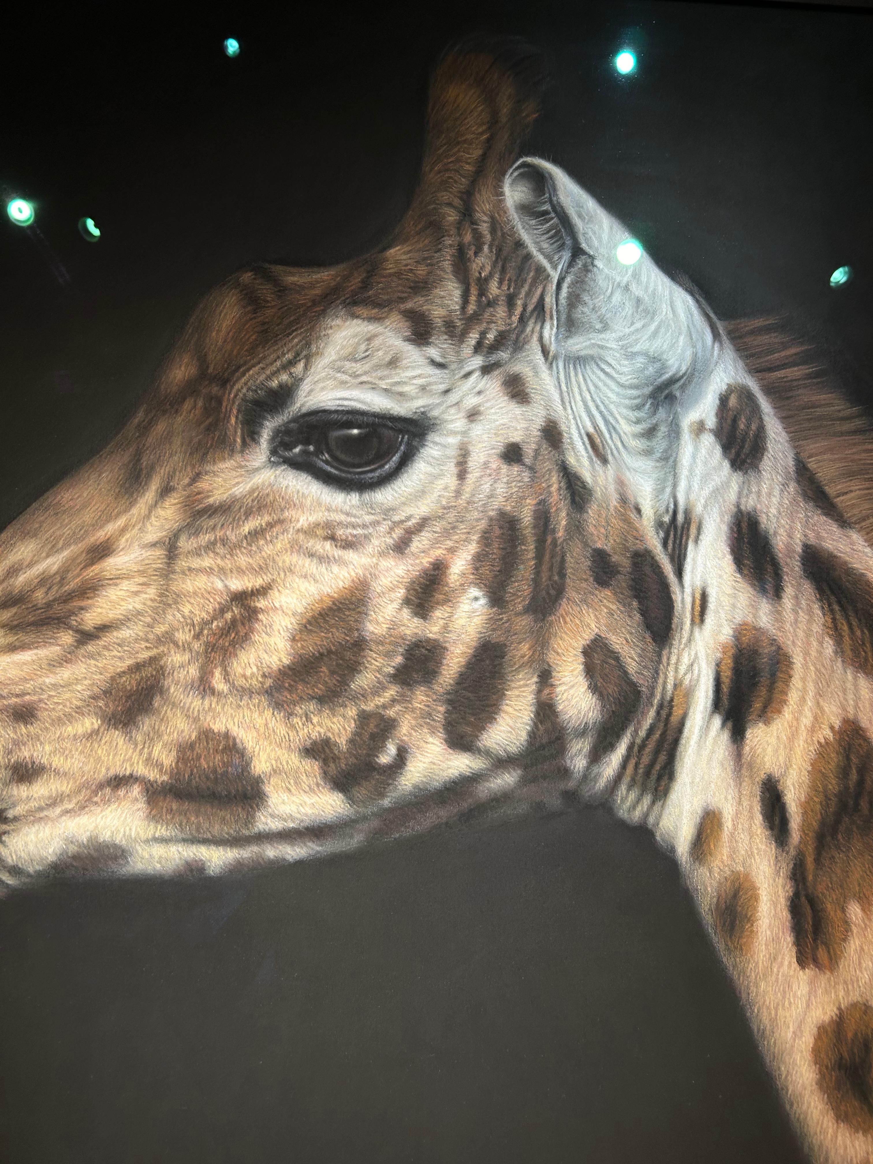 Giraffa di Rothschild, Grande come la vita III, ritratto realista di una giraffa - Painting Realismo di Gary Stinton
