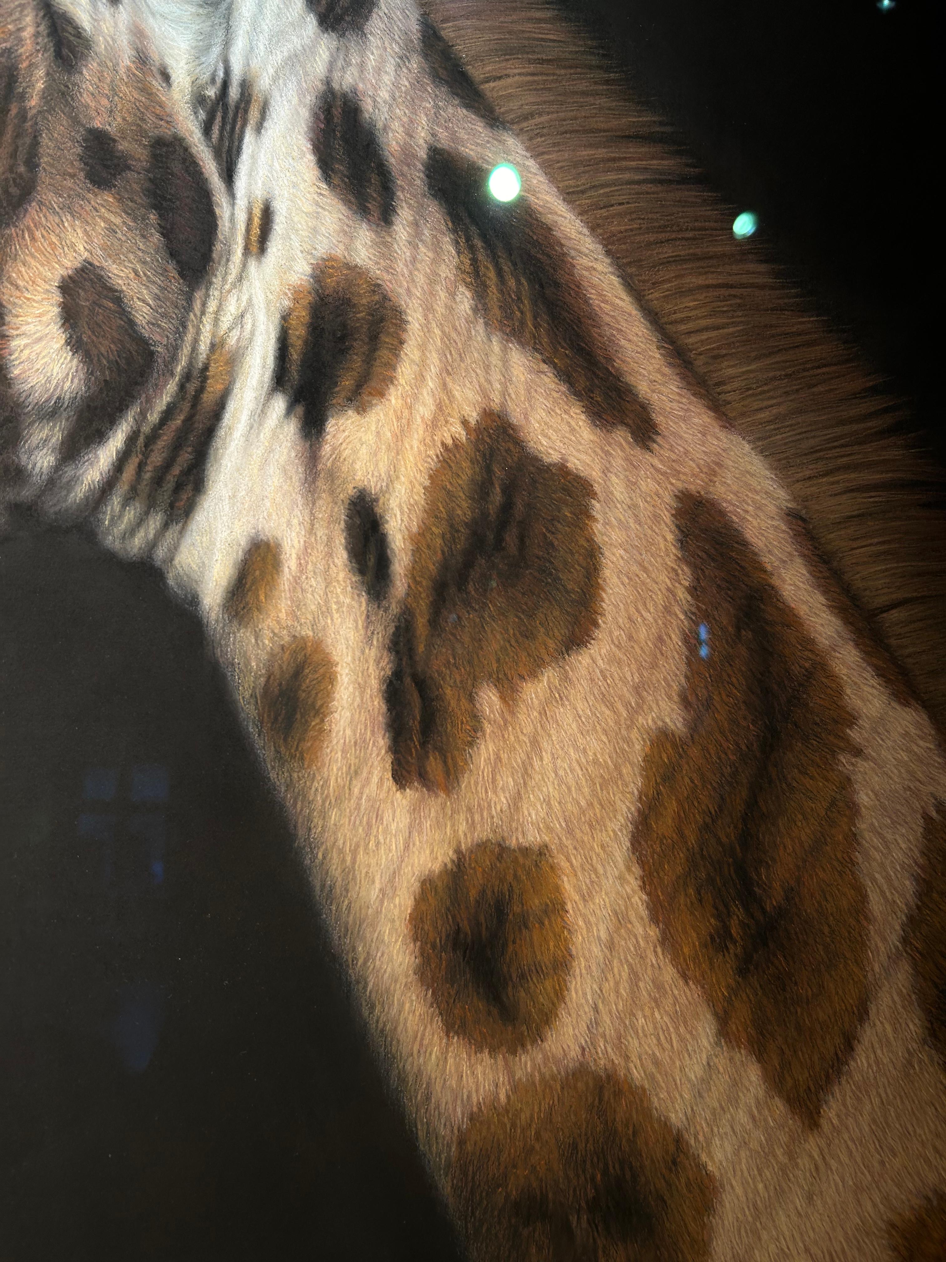 Giraffa di Rothschild, Grande come la vita III, ritratto realista di una giraffa 1