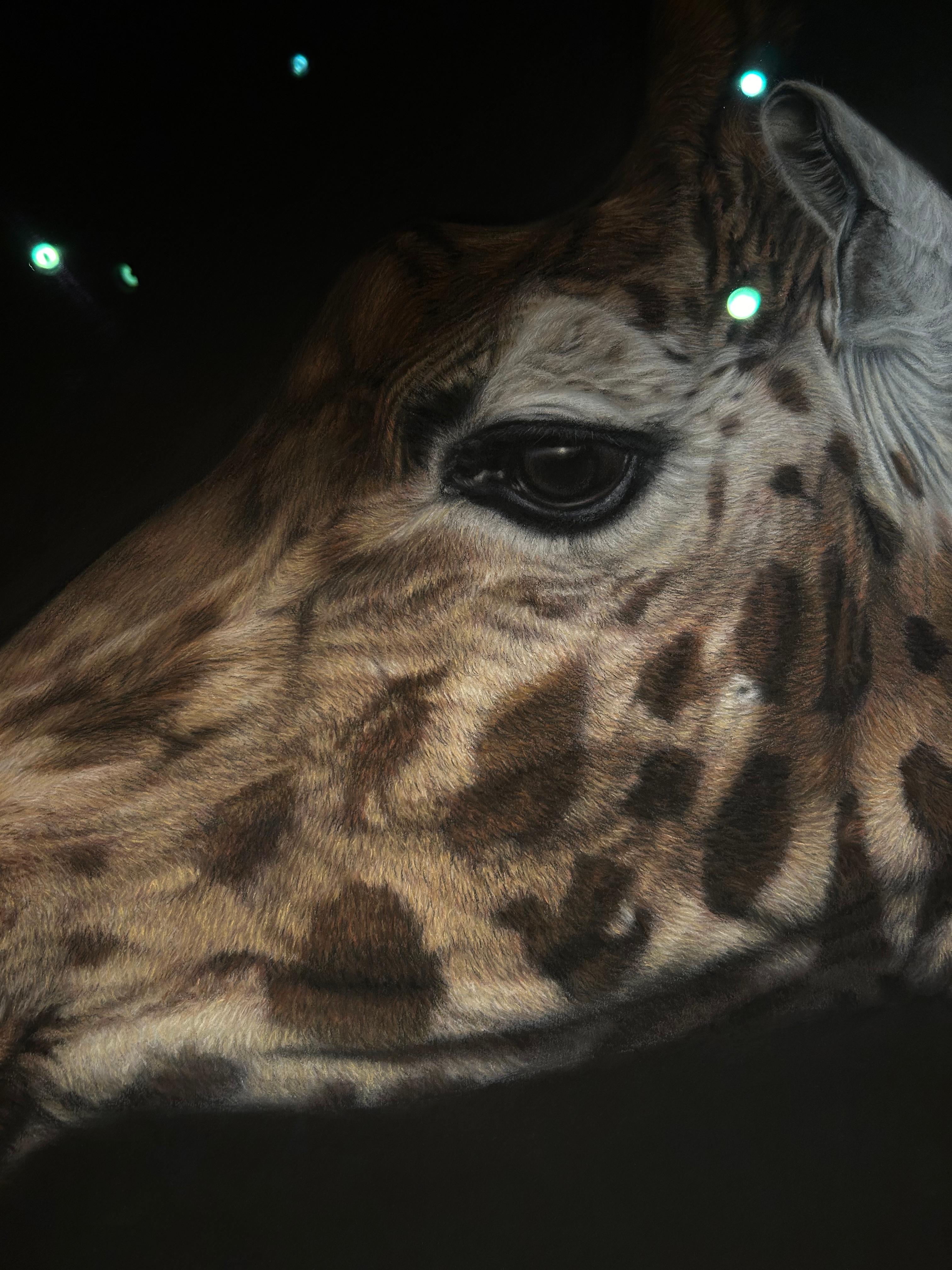 Giraffa di Rothschild, Grande come la vita III, ritratto realista di una giraffa 2
