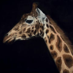 Giraffa di Rothschild, Grande come la vita III, ritratto realista di una giraffa