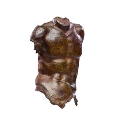 Gary Weisman Mid Century Wall Hung Bronze Torso