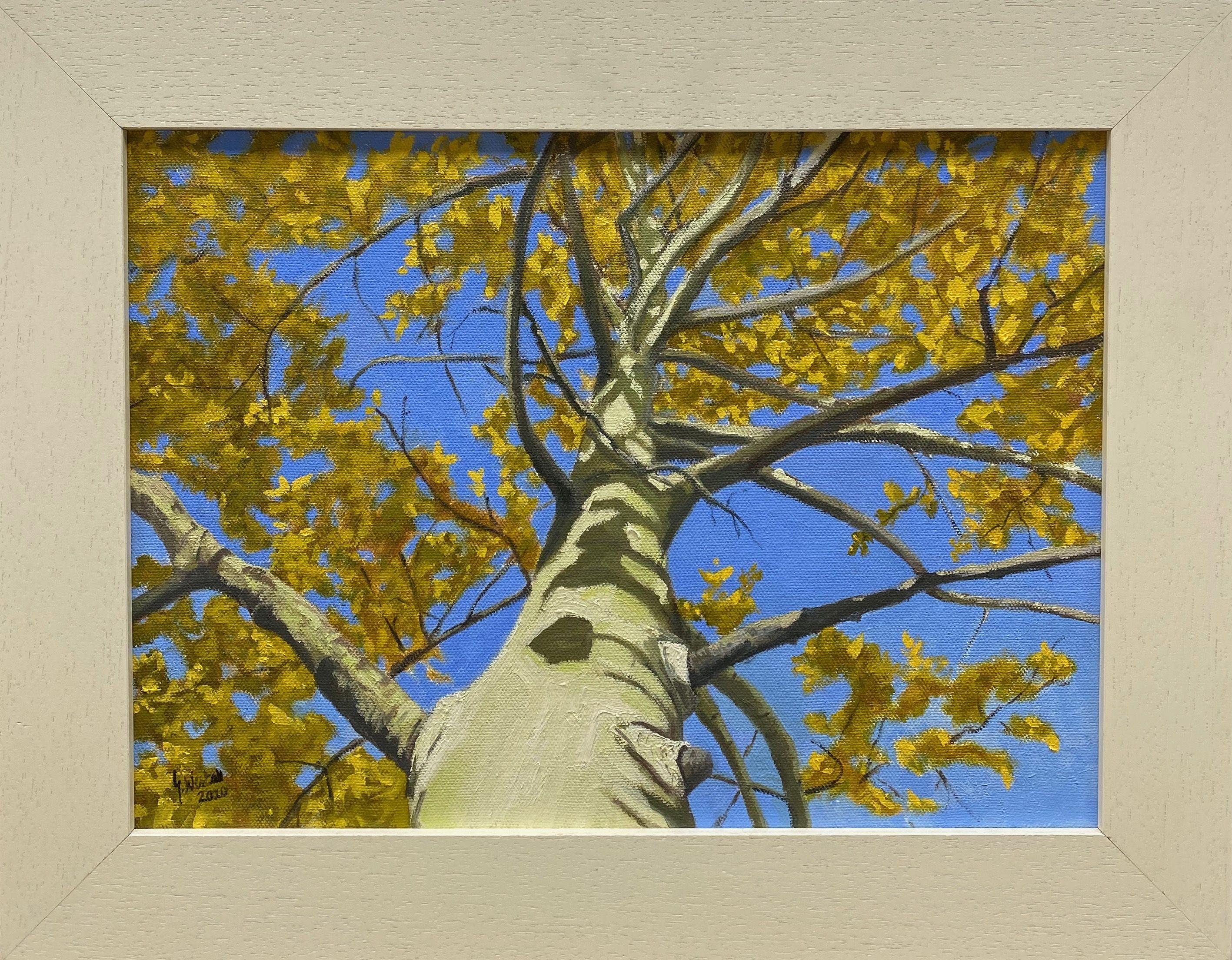 A different view, looking up into the beautiful Aspen.  Such beautiful trees, love the color of the leaves. :: Painting :: Contemporary :: This piece comes with an official certificate of authenticity signed by the artist :: Ready to Hang: No ::
