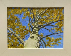 Aspen arise, Painting, Oil on Canvas
