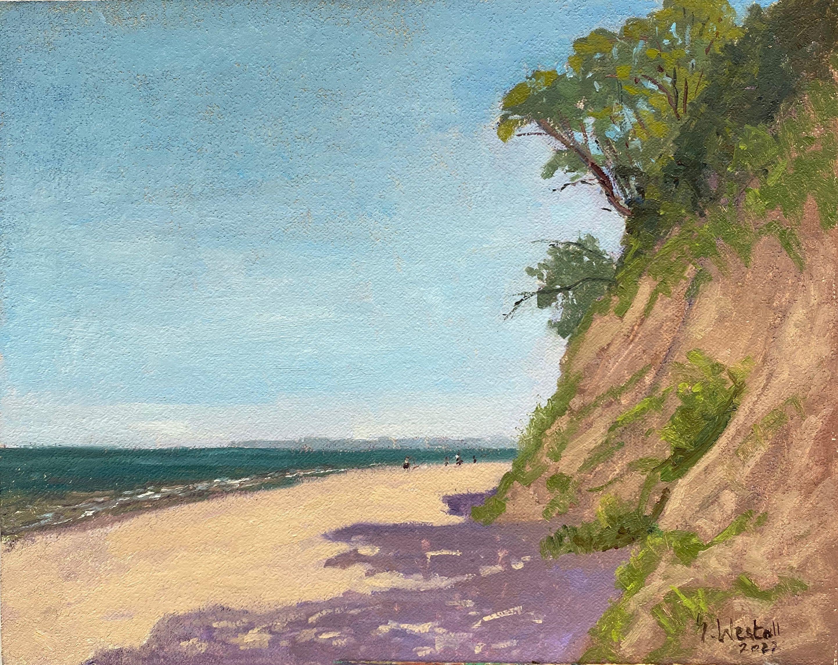 Plein air in Poland, 2022.  The first Plein air painting of a total of 12 paintings painted on my painting trip to Poland, West Pomerania.  I discovered this beach accidentally and was immediately drawn to the shadow colors and since I haven't