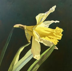 Daffodil No.6, Painting, Oil on Canvas