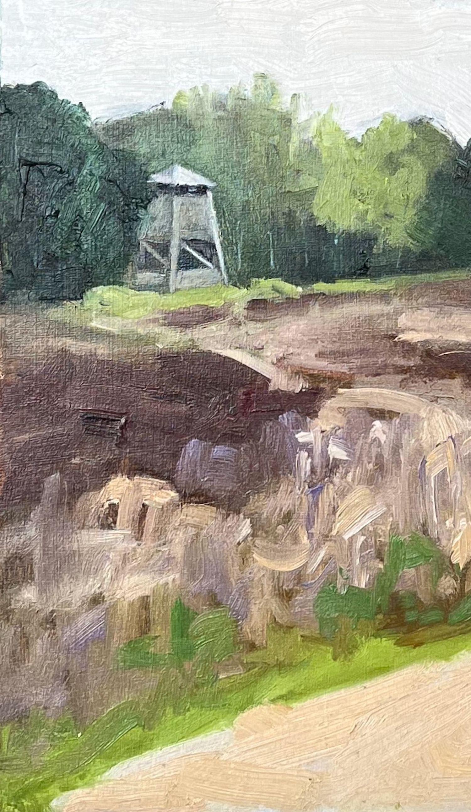 Gemalt im großen Torfmoor (Hiller Moor) im Kreis Minden-LÃ¼bbecke.  Ich genieße es sehr, in den Mooren unterwegs zu sein, ein wunderbarer Ort zum Entspannen und Malen.  Signiert unten rechts.  Öl auf HDF - 30x24cm :: Gemälde :: Impressionist ::
