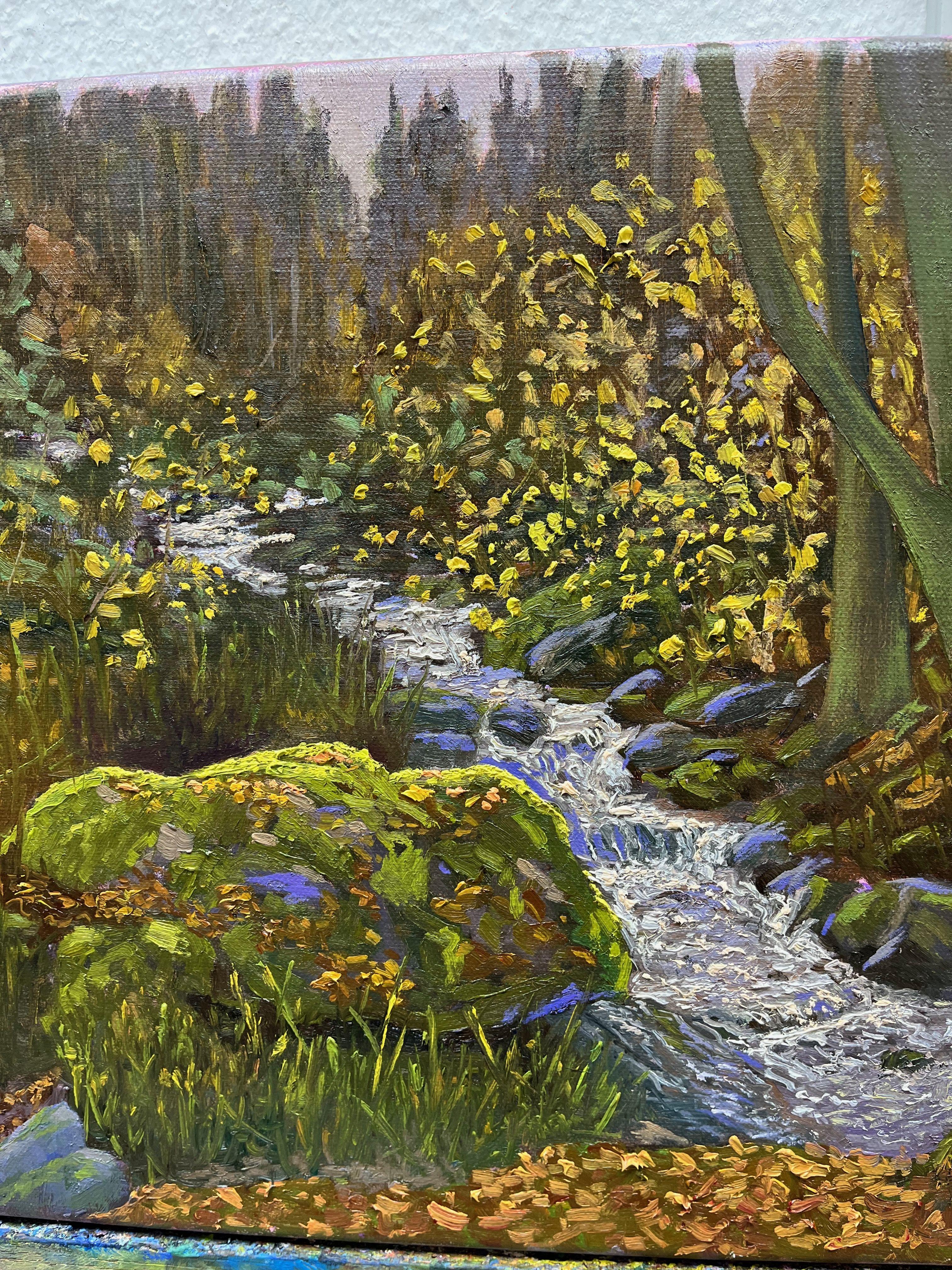 Gemaltes Pleinair in Stempbach.  Stempbach, ein Nebenfluss der Ilz bei Fischhaus/Ruderting.  Ich bin gerne mit meiner Staffelei im Nationalpark Bayerischer Wald unterwegs, hier werde ich immer wieder inspiriert.  Öl auf Leinen - 40 Ã- 30 cm 