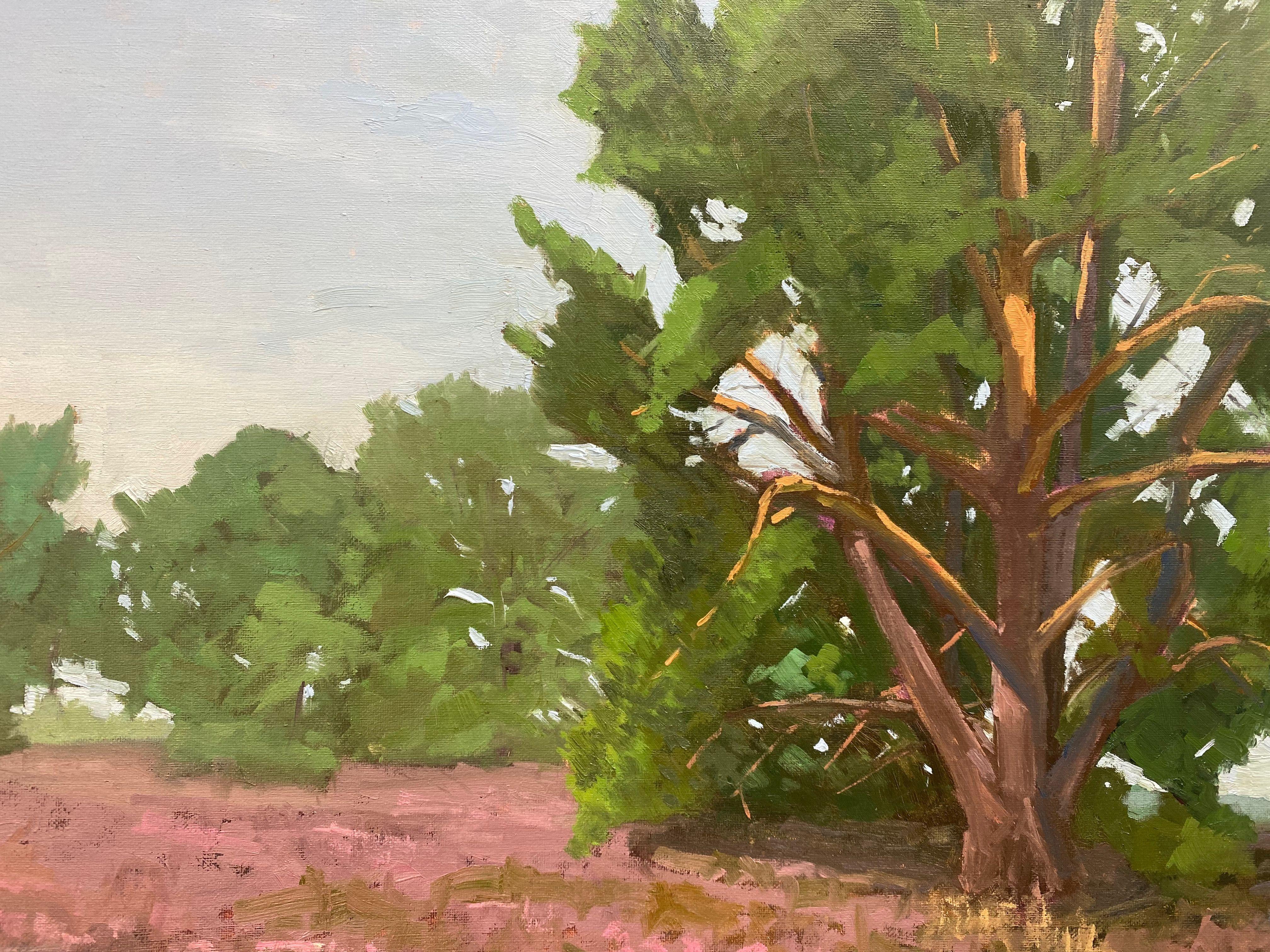 Una parte di una serie dipinta all'aria aperta durante un evento plein air nella Kirchdorferheide vicino a Brema, nel nord della Germania. L'evento si svolge ogni due anni.  Quest'anno siamo stati fortunati, vista l'ondata di caldo, che l'erica