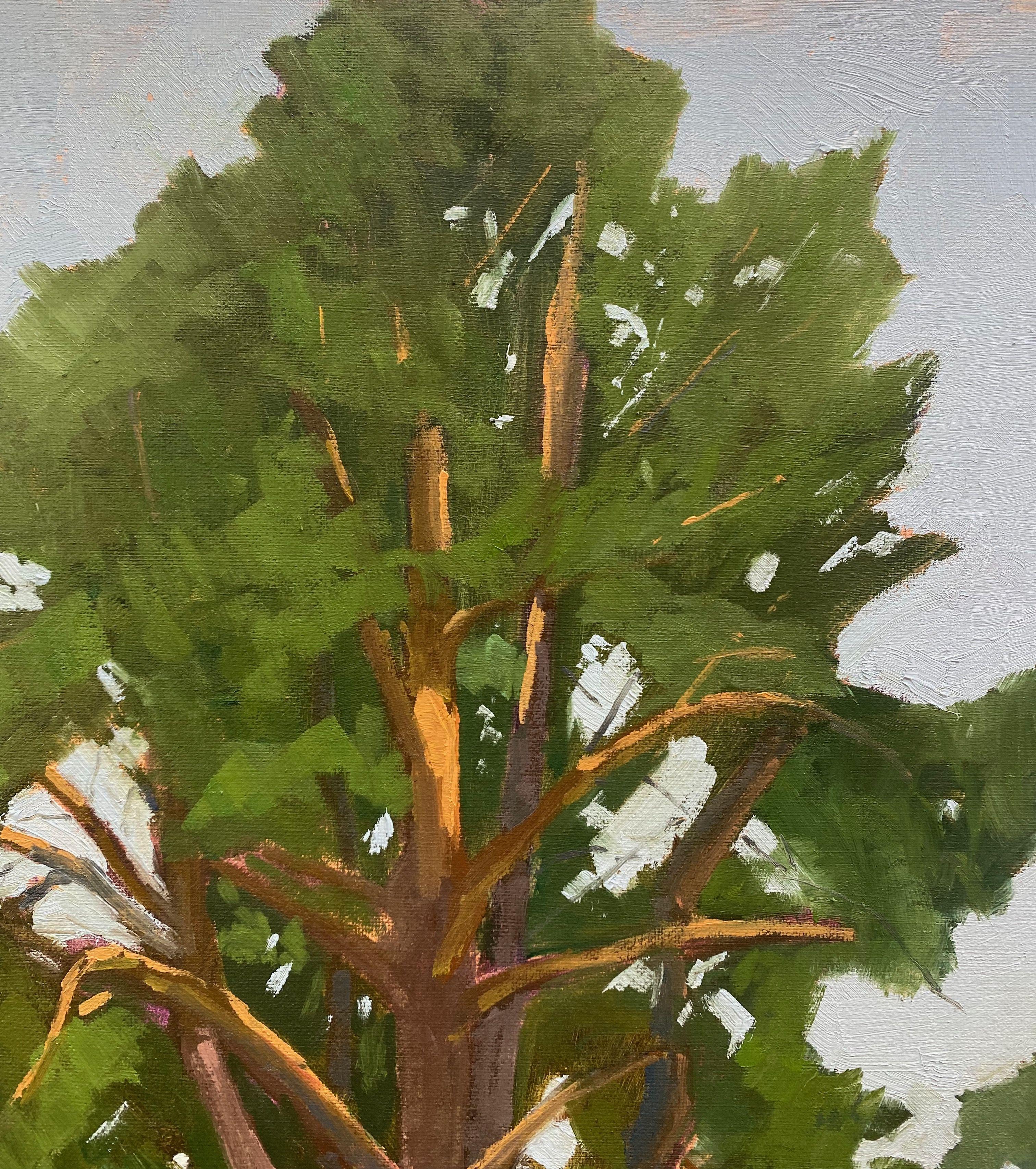 Crocevia di pini, Pittura, Olio su altro in vendita 1