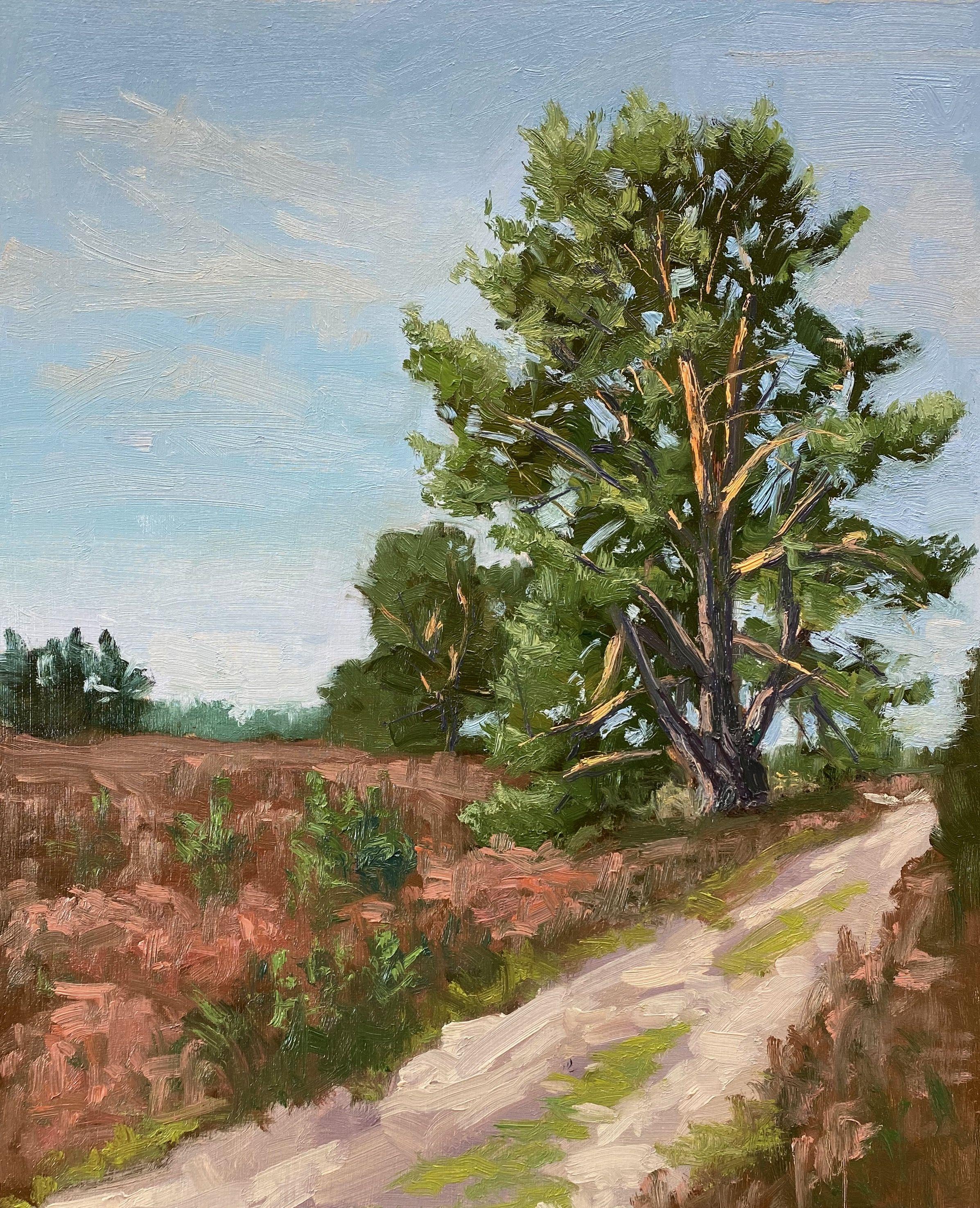 Kiefernbaum im Kirchdrfer-Etui, Gemälde, Öl auf Anderem