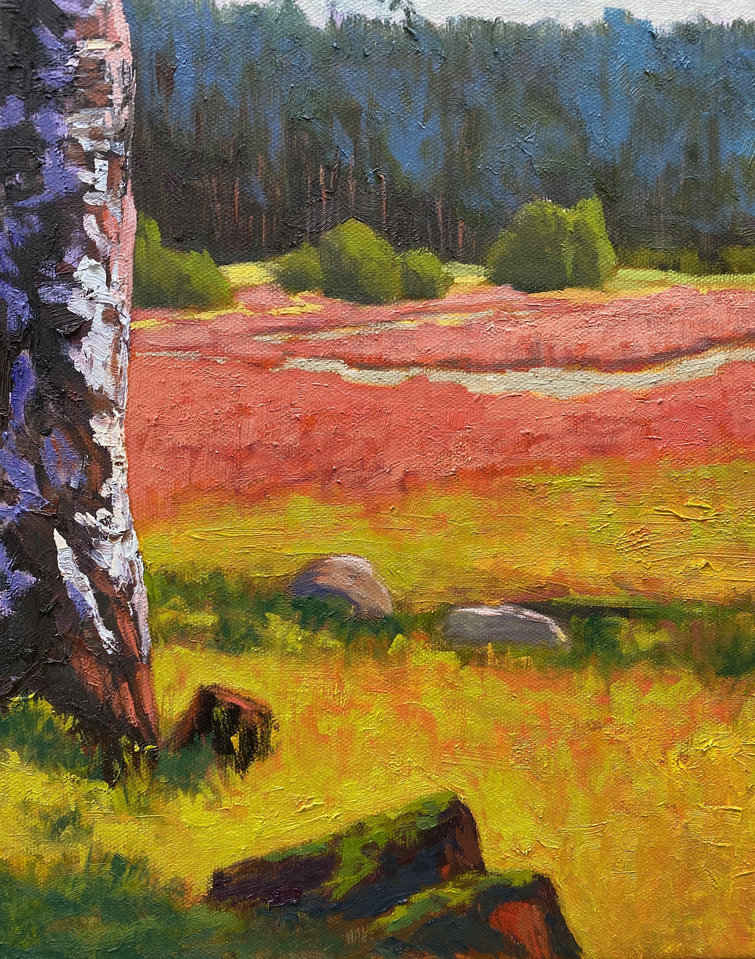 Sunbathing Boulders in the Ellendorfer Heide, Painting, Oil on Canvas For Sale 1