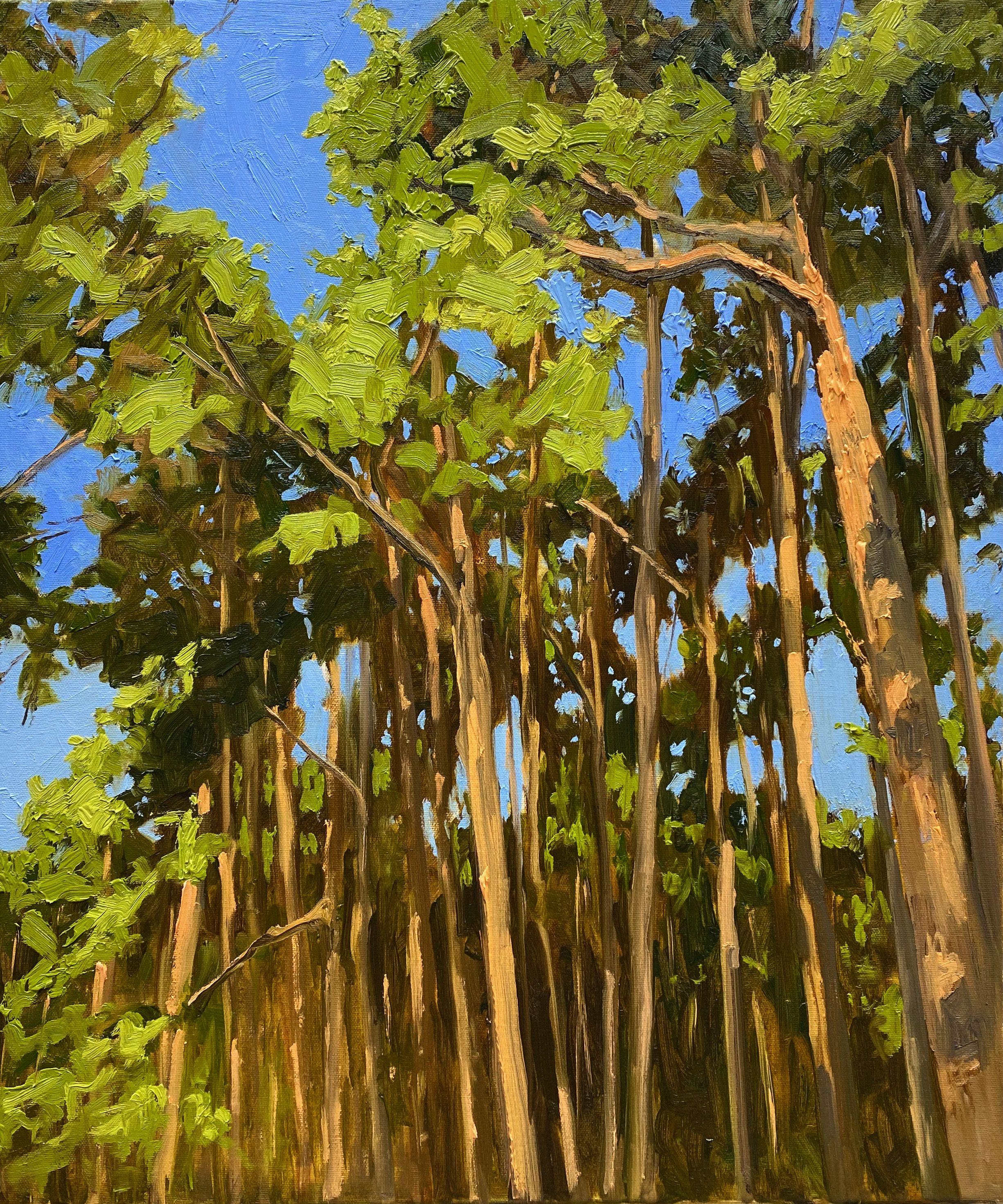 Sonne beleuchtete Kiefern, Gemälde, Öl auf Leinwand – Painting von Gary Westall