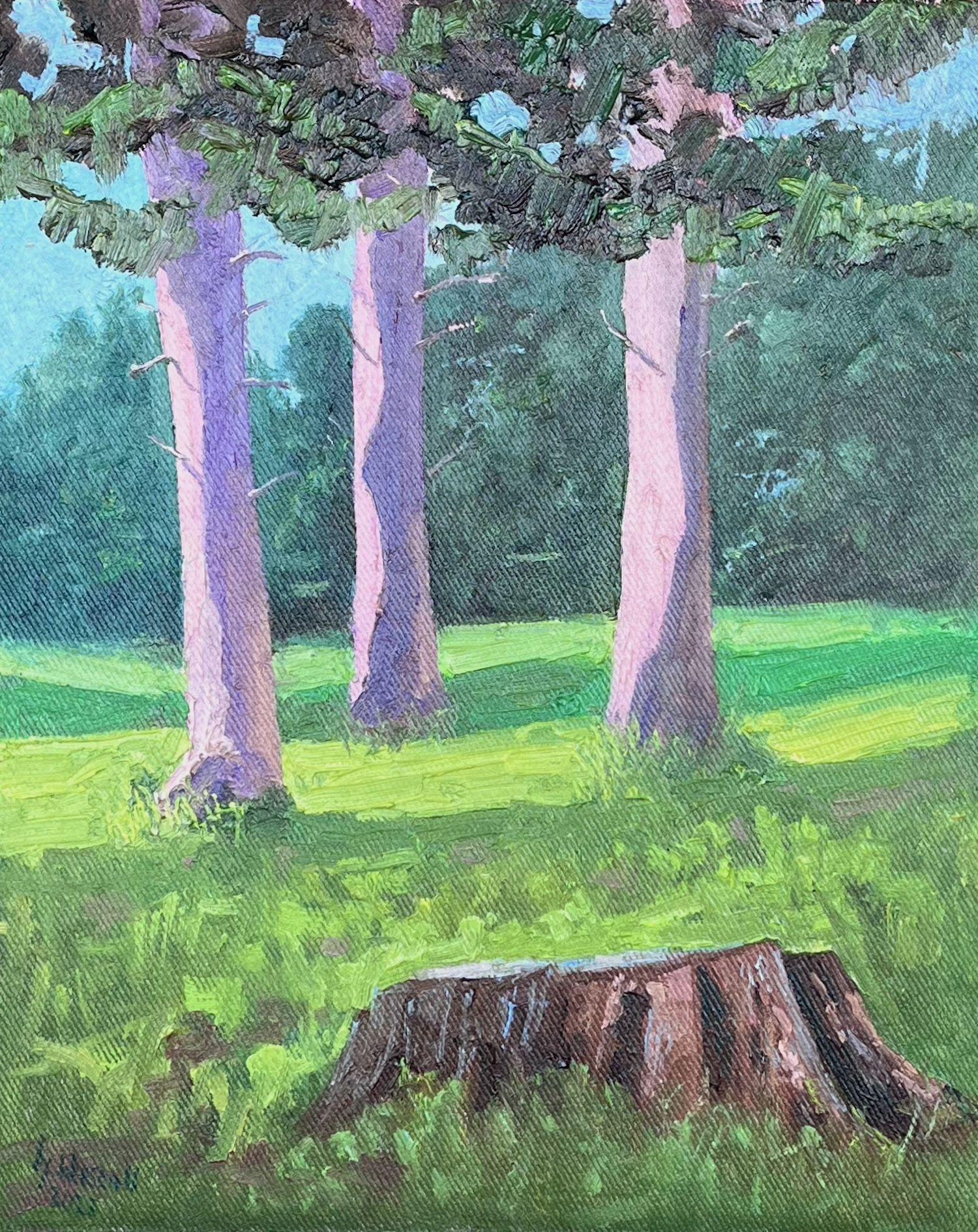 The three from the Klopotowo manor house.  Painted on the grounds of the manor house in Klopotowo. A plein air meeting took place here in 2023. The three trees greeted me in the morning with a beautiful pink color.  Signed lower left.  Oil on cotton
