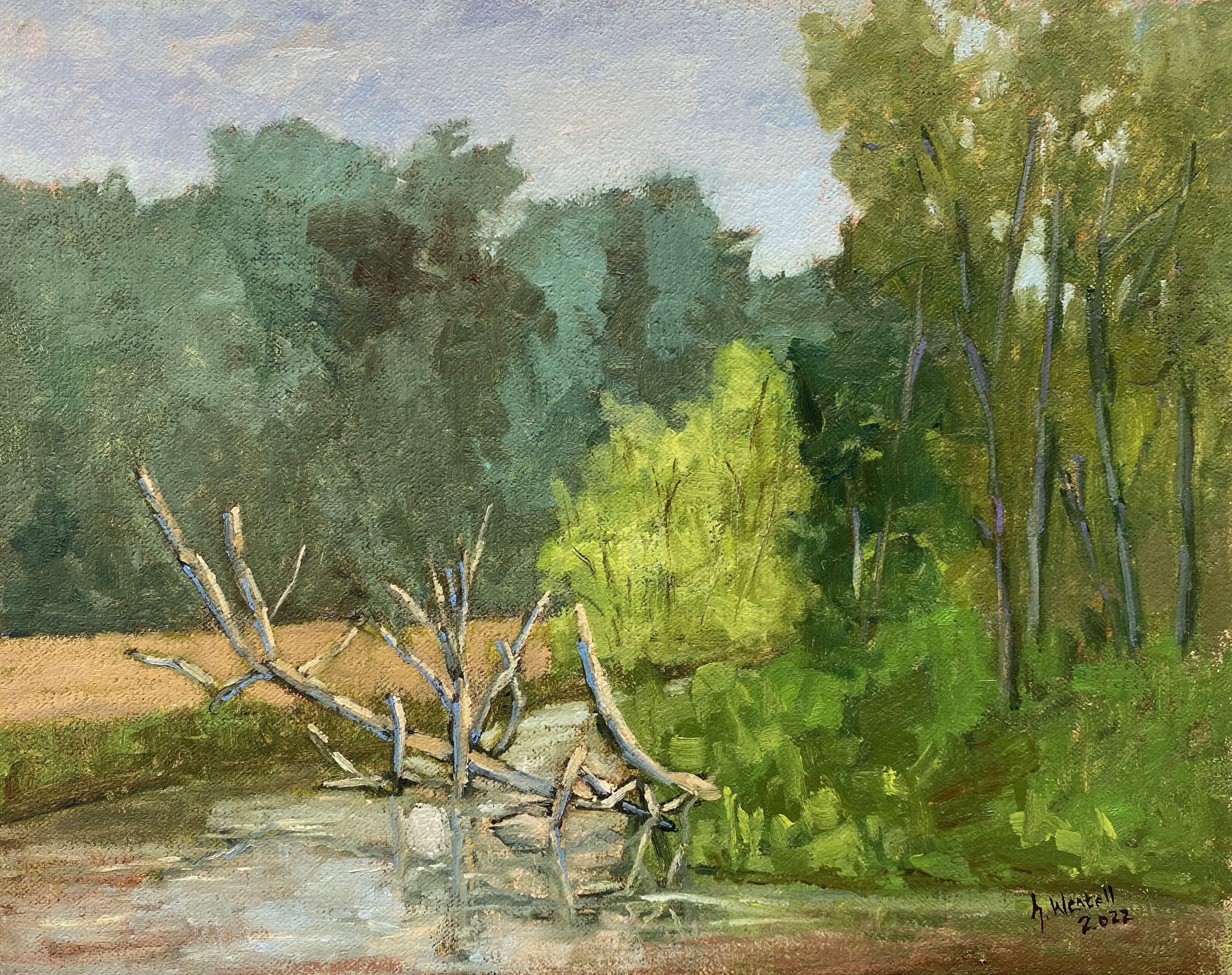 Painted Plein air on the Parseta.Â   I find this river very exciting because it is left to its self and looks different every year. Sometimes there are many fallen trees in the river or the river has conquered part of the banks.  Oil on linen