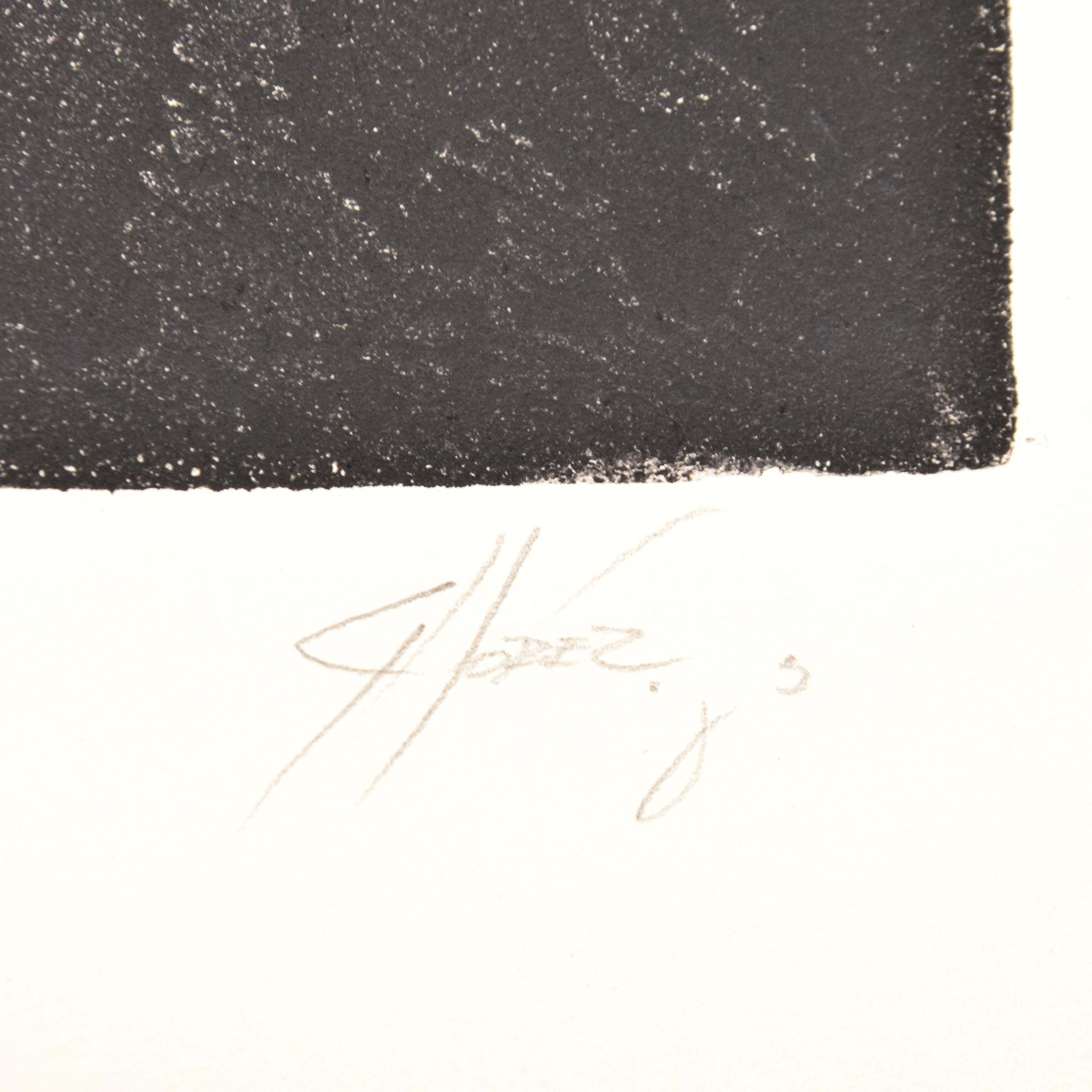 Garzon Florez & Celso Roman TRUCAR Buch (Drucke und Poesie) im Angebot 4
