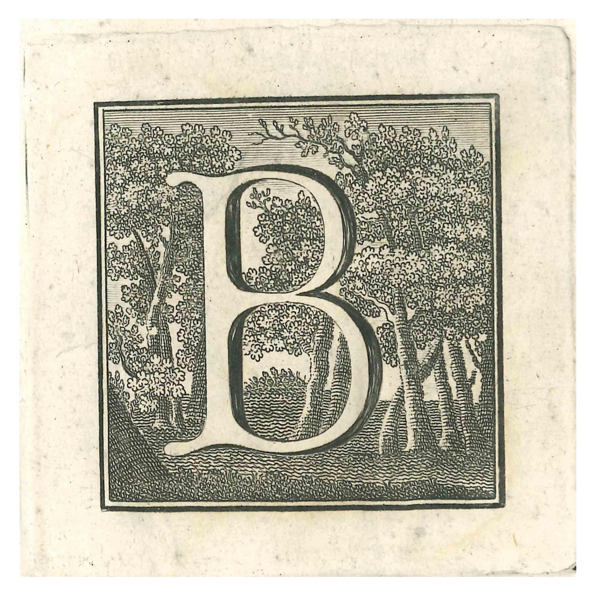 Antiquities of Herculaneum Letter B - Etching by Gaspar V. Wittel- 18th Century