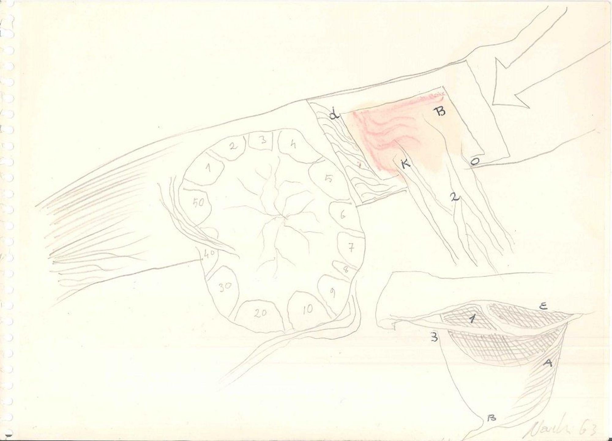 Composizione, 1963 est un intéressant dessin original (techniques mixtes : crayon, pastel, encre de Chine, aquarelle) de l'artiste italien informel Gastone Novelli.

Signé et daté au crayon au recto, dans la marge inférieure droite "Novelli