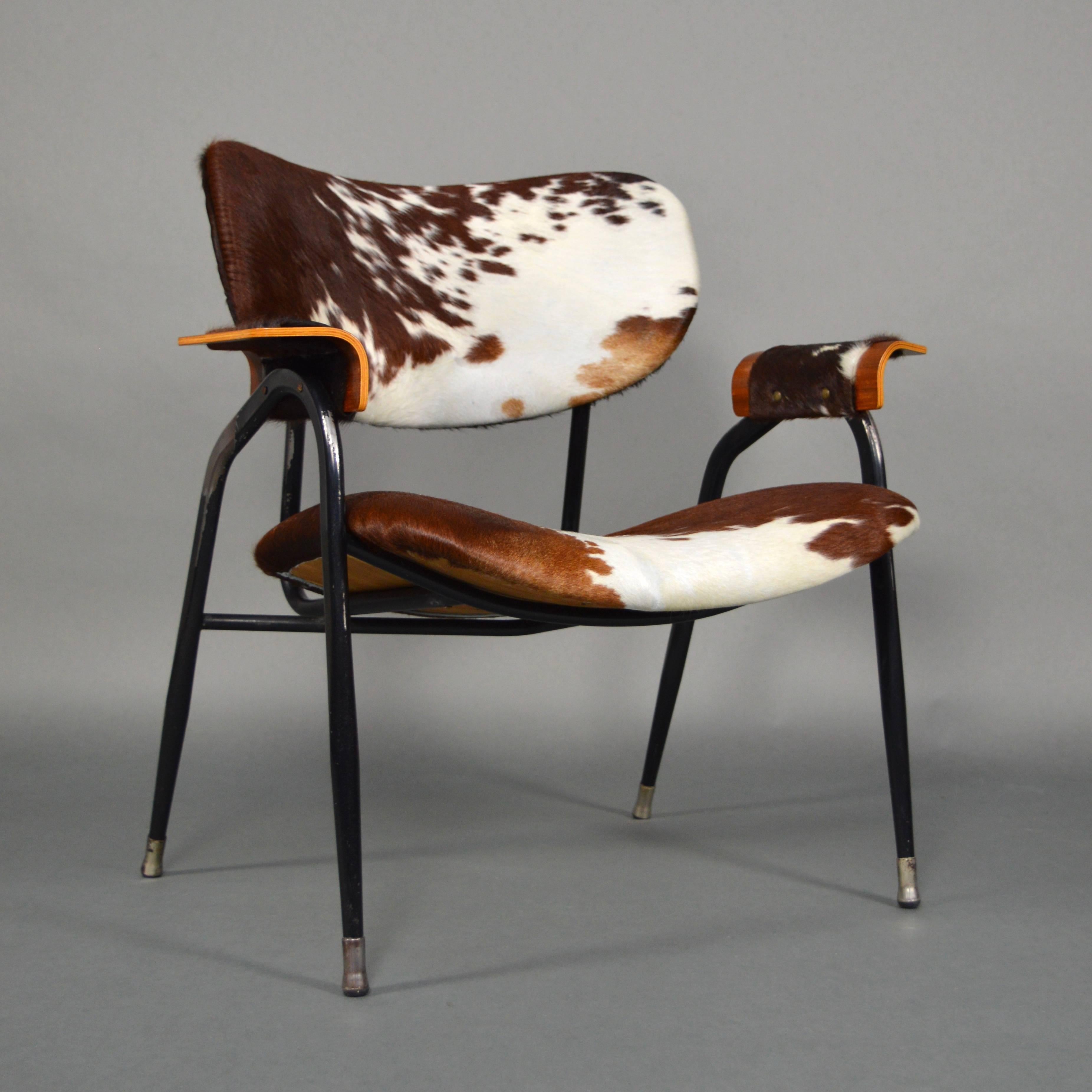 Mid-Century Modern Gastone Rinaldi for RIMA Lounge Chair with New Cowhide, Italy, 1950s