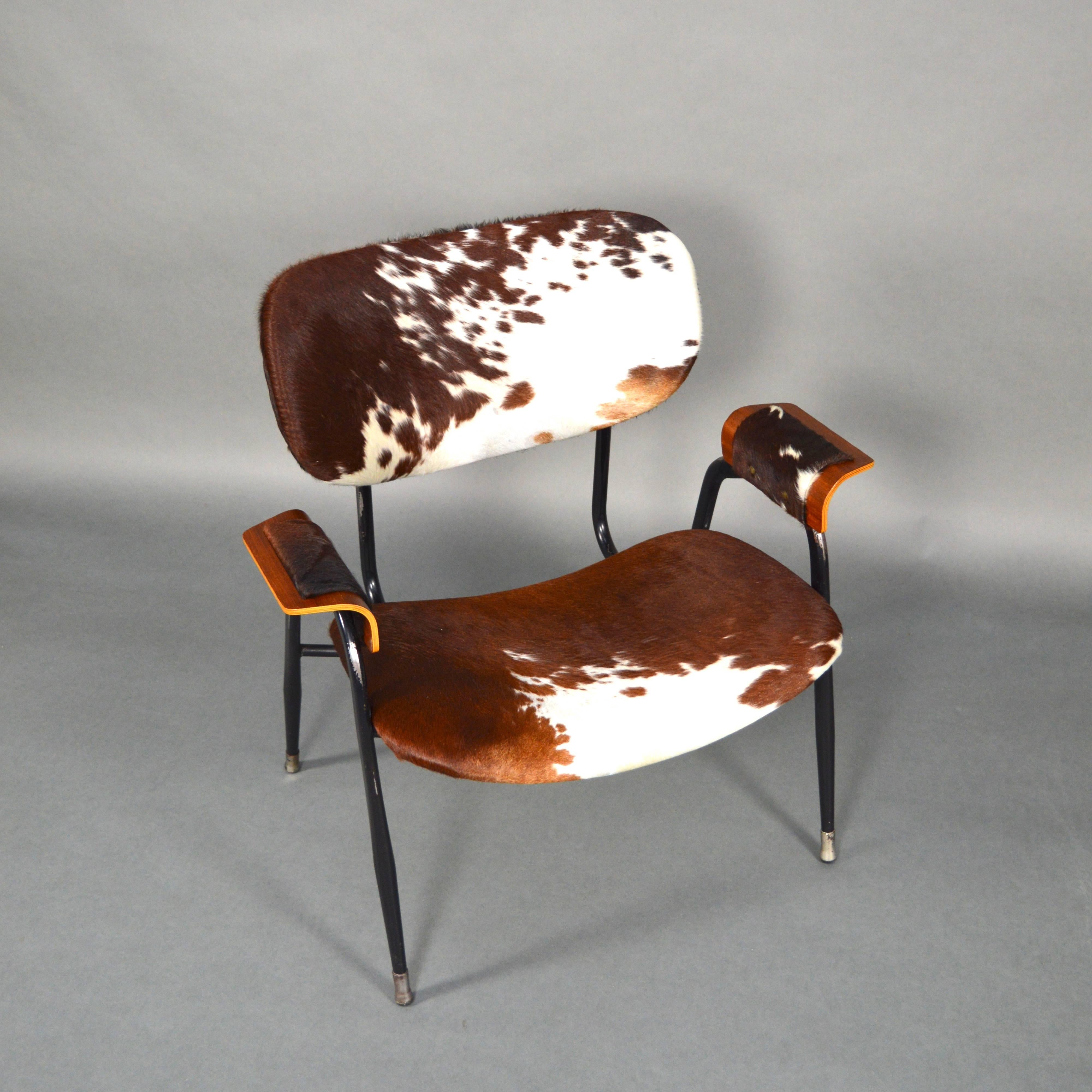Mid-20th Century Gastone Rinaldi for RIMA Lounge Chair with New Cowhide, Italy, 1950s