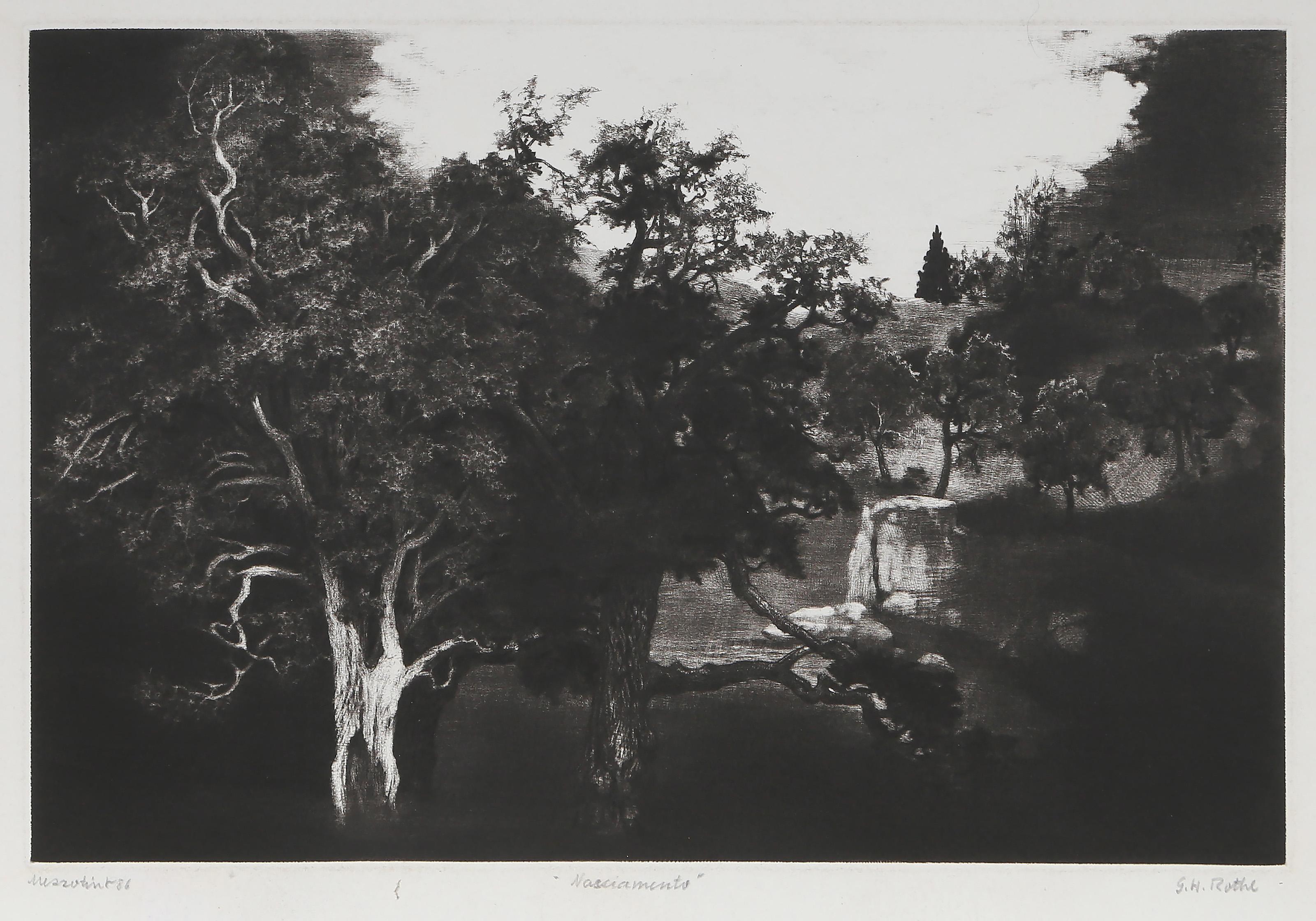  Gatja Helgart Rothe, Allemande (1935 - 2008) -  Nasciamento, Année :  1986, Moyen :  Mezzotint, signé, titré et daté au crayon, Taille de l'image :  7.75 x 11.75 pouces, Taille :  11.75 x 15 in. (29.85 x 38.1 cm) 