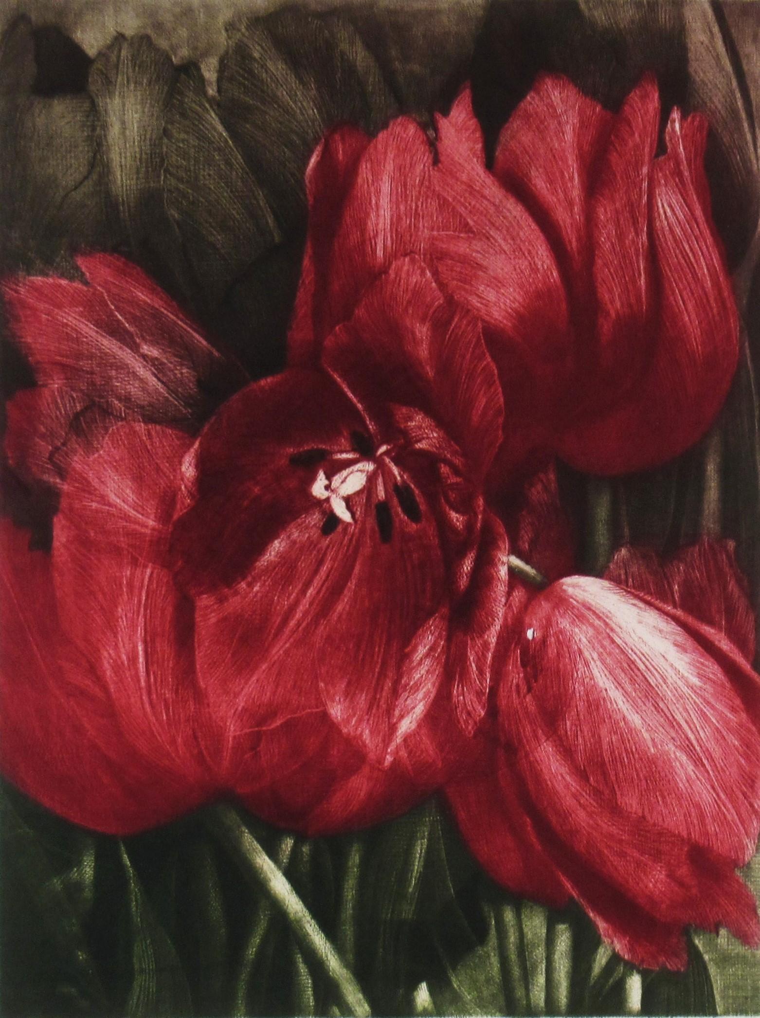 Some of 48 Tulips - Print by Gatja Helgart Rothe