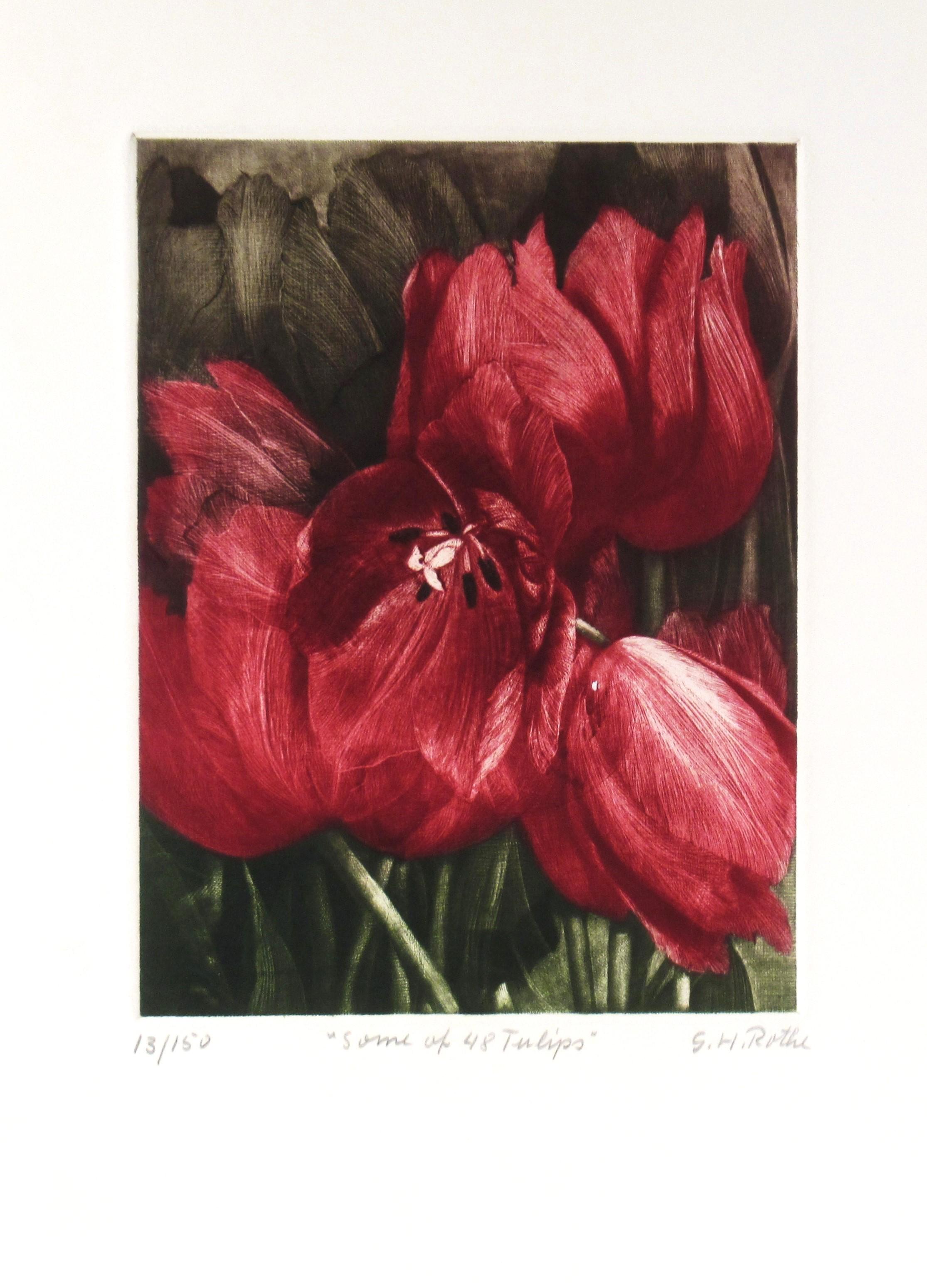 Figurative Print de Gatja Helgart Rothe - Algunos de los 48 Tulipanes