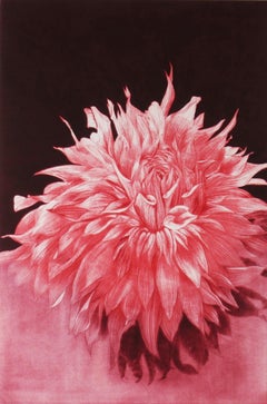 Sunrise Dahlia