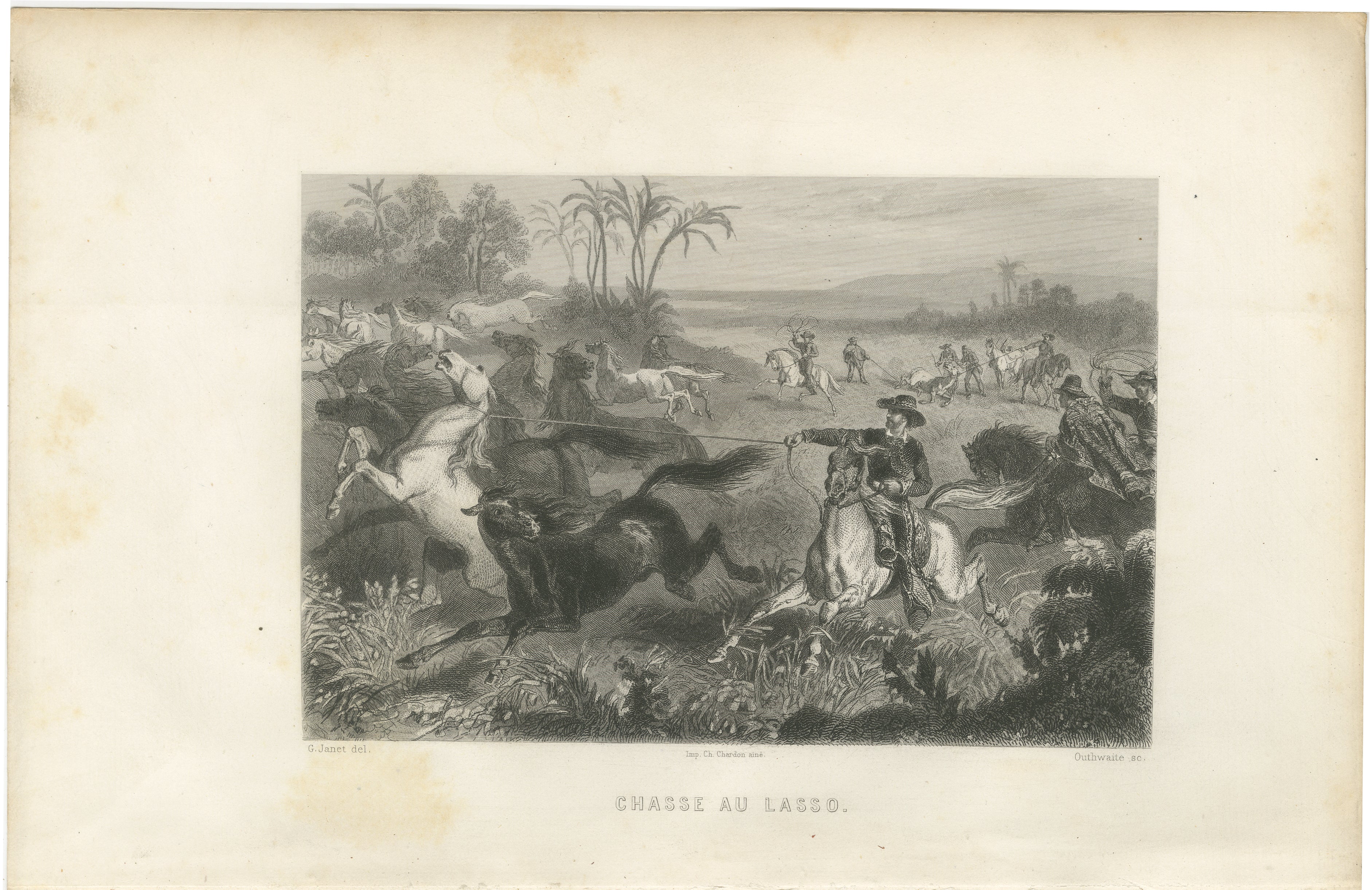 Cavaliers gauchos attrapant des chevaux sauvages au lasso - Gravure ancienne d'Énault, 1867

Cette gravure spectaculaire du XIXe siècle, intitulée 