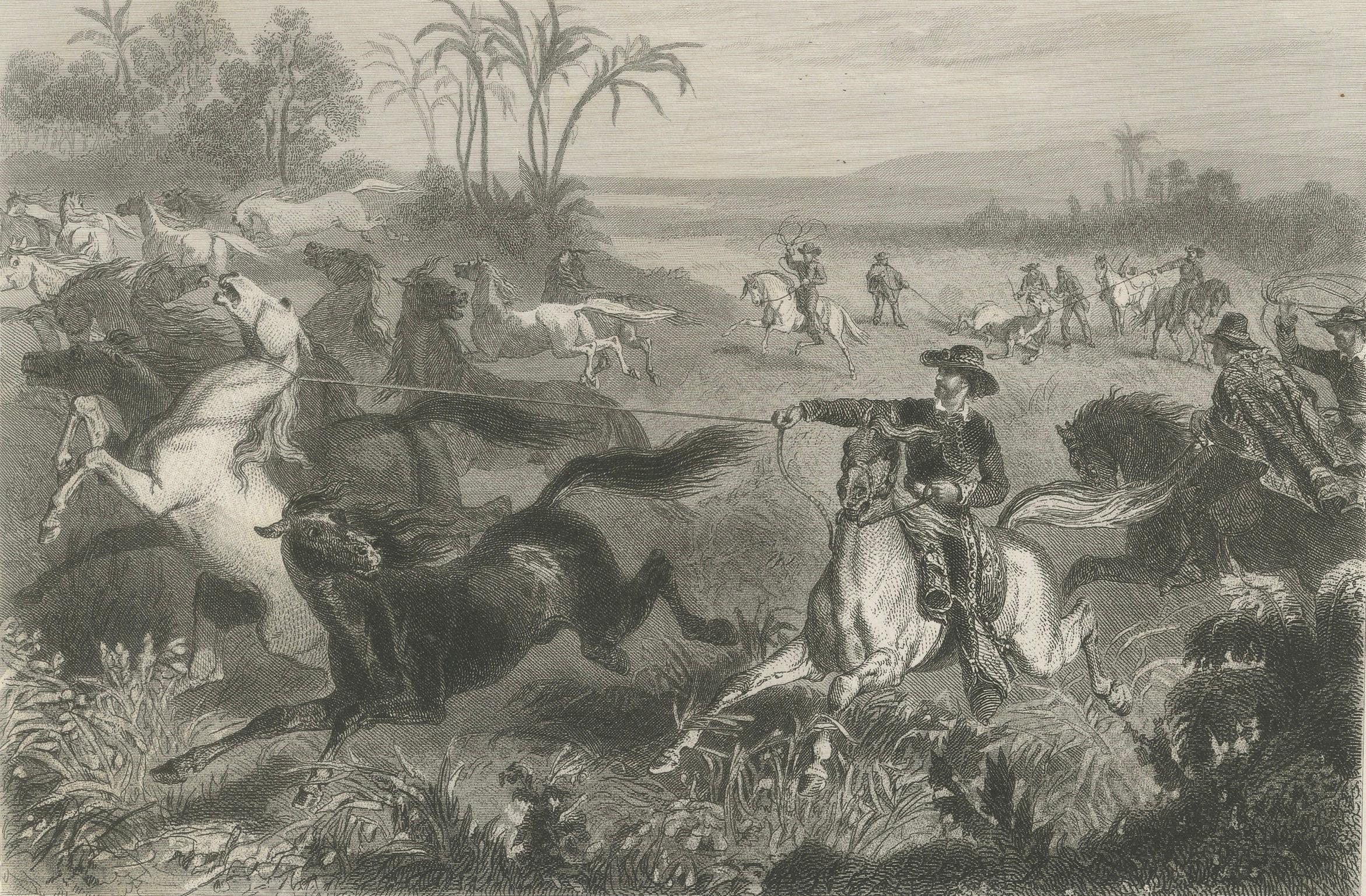 Français Cavaliers gauchos attrapant des chevaux sauvages au lasso - Gravure ancienne d'Énault, 1867 en vente