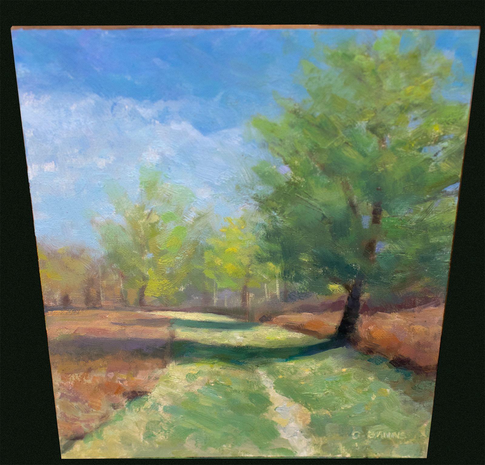 Sentiero erboso tra i boschi e i rovi, Pittura, Olio su tela - Painting Impressionismo di Gav Banns