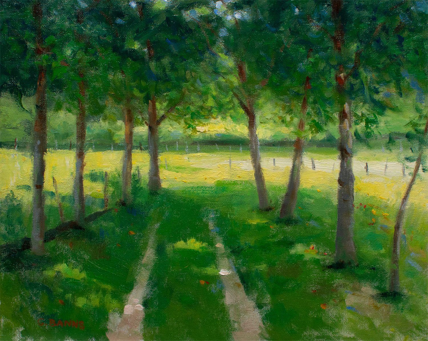 Gav Banns Landscape Painting - Impressionist American oak trees in rural France, Painting, Oil on Canvas