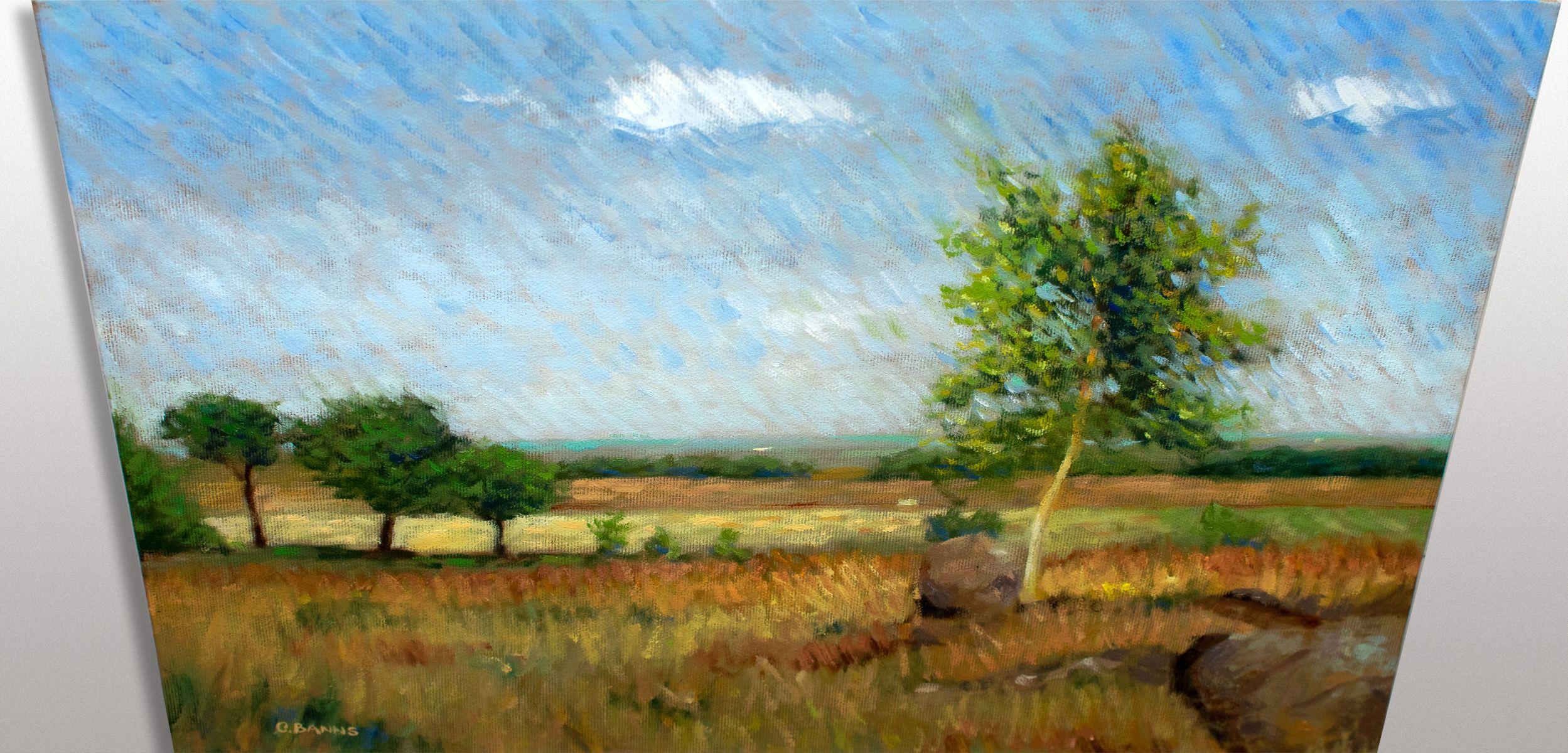 Impressionistisches Feld und Bäume in englischer Landschaft, Gemälde, Öl auf Leinwand (Impressionismus), Painting, von Gav Banns