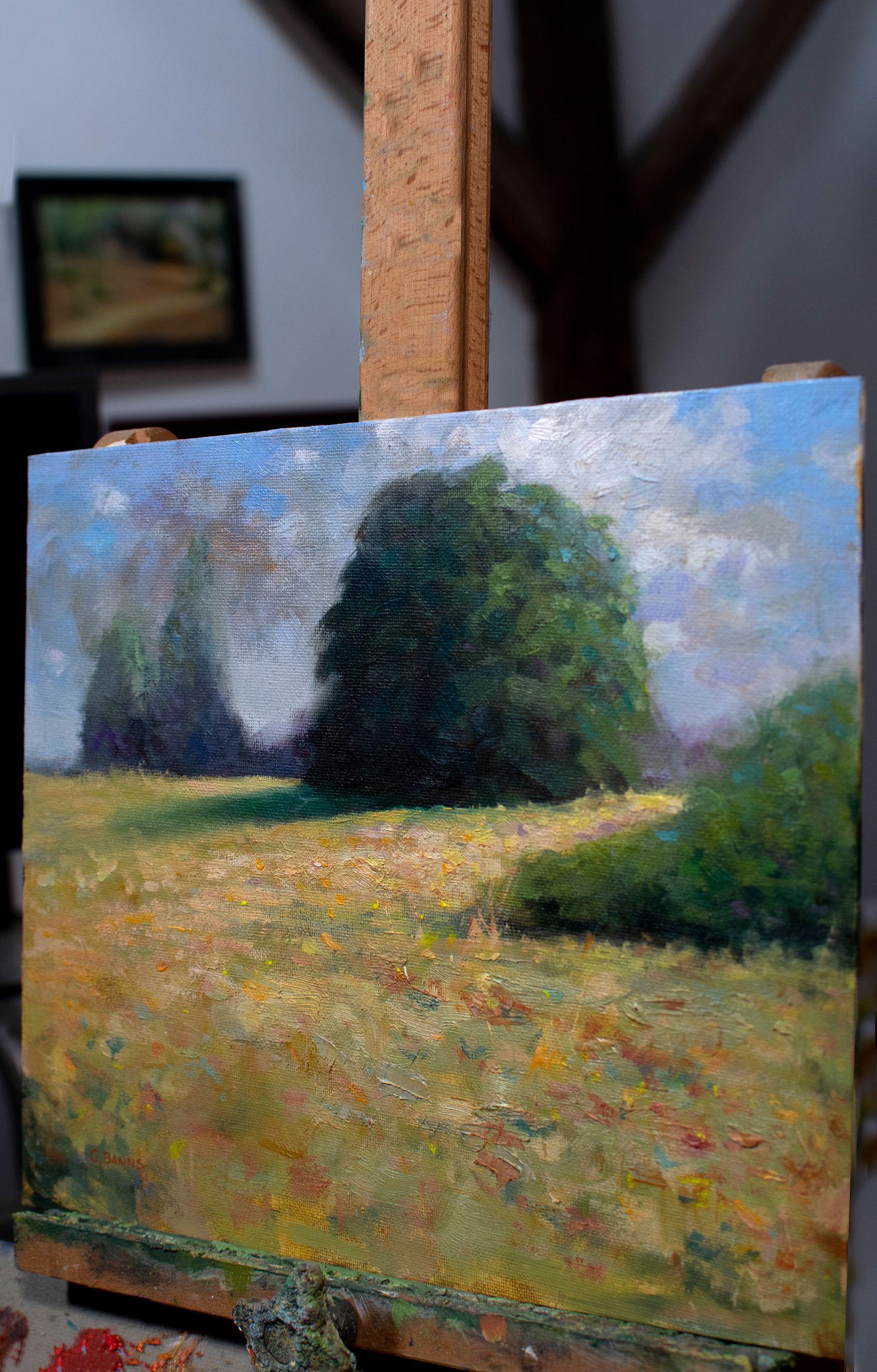 Questa è una scena di un campo vicino, in una zona selvaggia della Francia occidentale. Mi è piaciuto il gioco di luci sulle erbe e sui fiori selvatici, in contrasto con le ombre più profonde degli alberi. È stato dipinto in stile impressionista su
