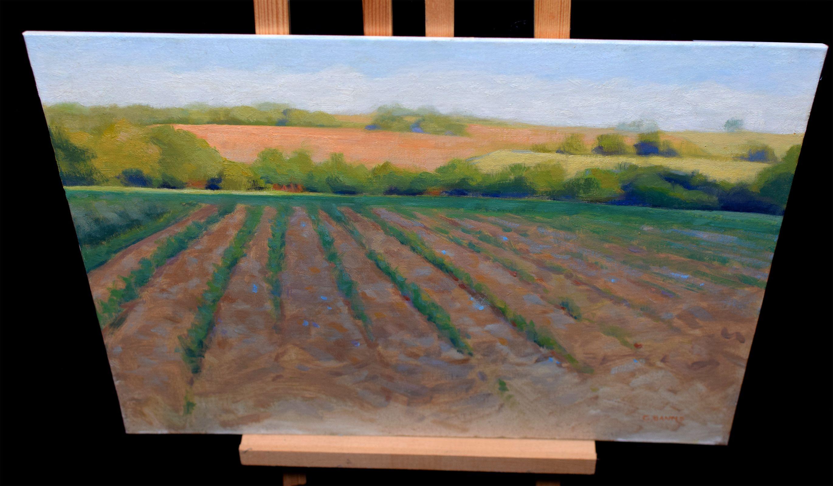 Ploughed field with newly sown crops, sun setting, Painting, Oil on Canvas For Sale 1