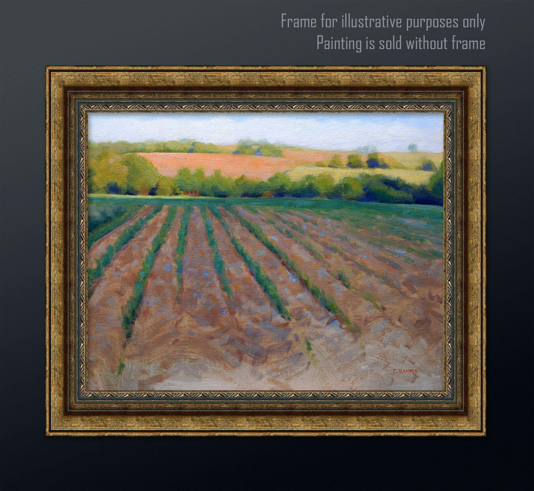 Ploughed field with newly sown crops, sun setting, Painting, Oil on Canvas For Sale 2
