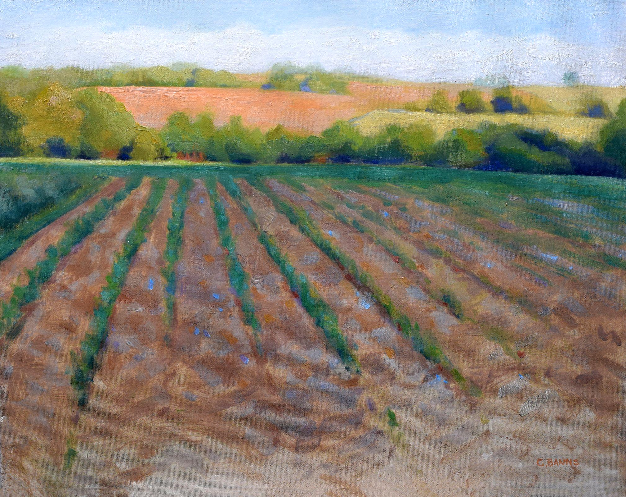 During the strictest of the Covid lockdowns, we were not permitted to go beyond 1km from residence. This provided an opportunity to paint one of the fields close to home towards the end of the day, with a certain gratitude that I had nature on my