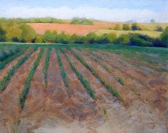 Ploughed field with newly sown crops, sun setting, Painting, Oil on Canvas