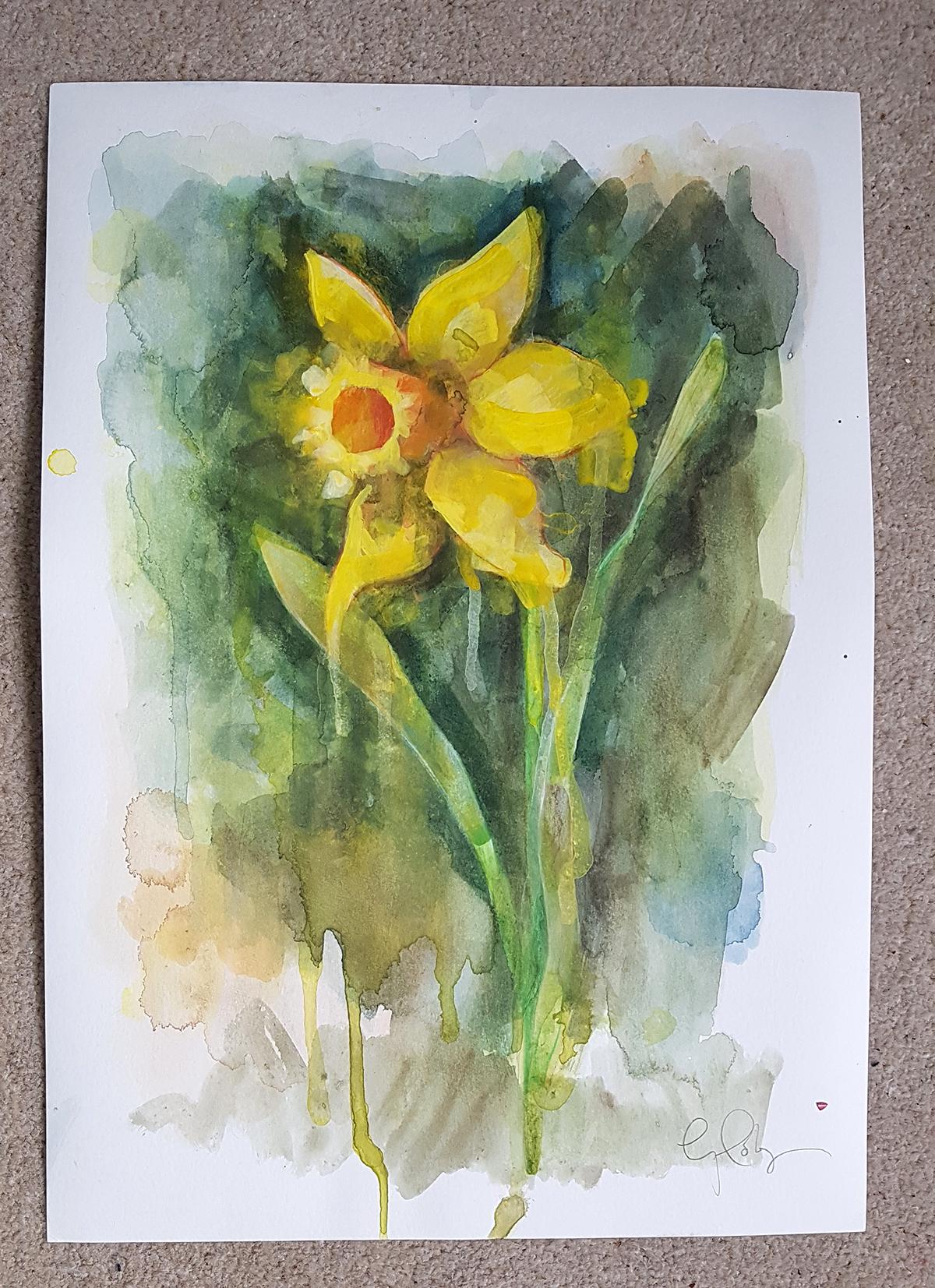 Daffodil by Gavin Dobson, contemporary art, original painting, watercolour paint 3