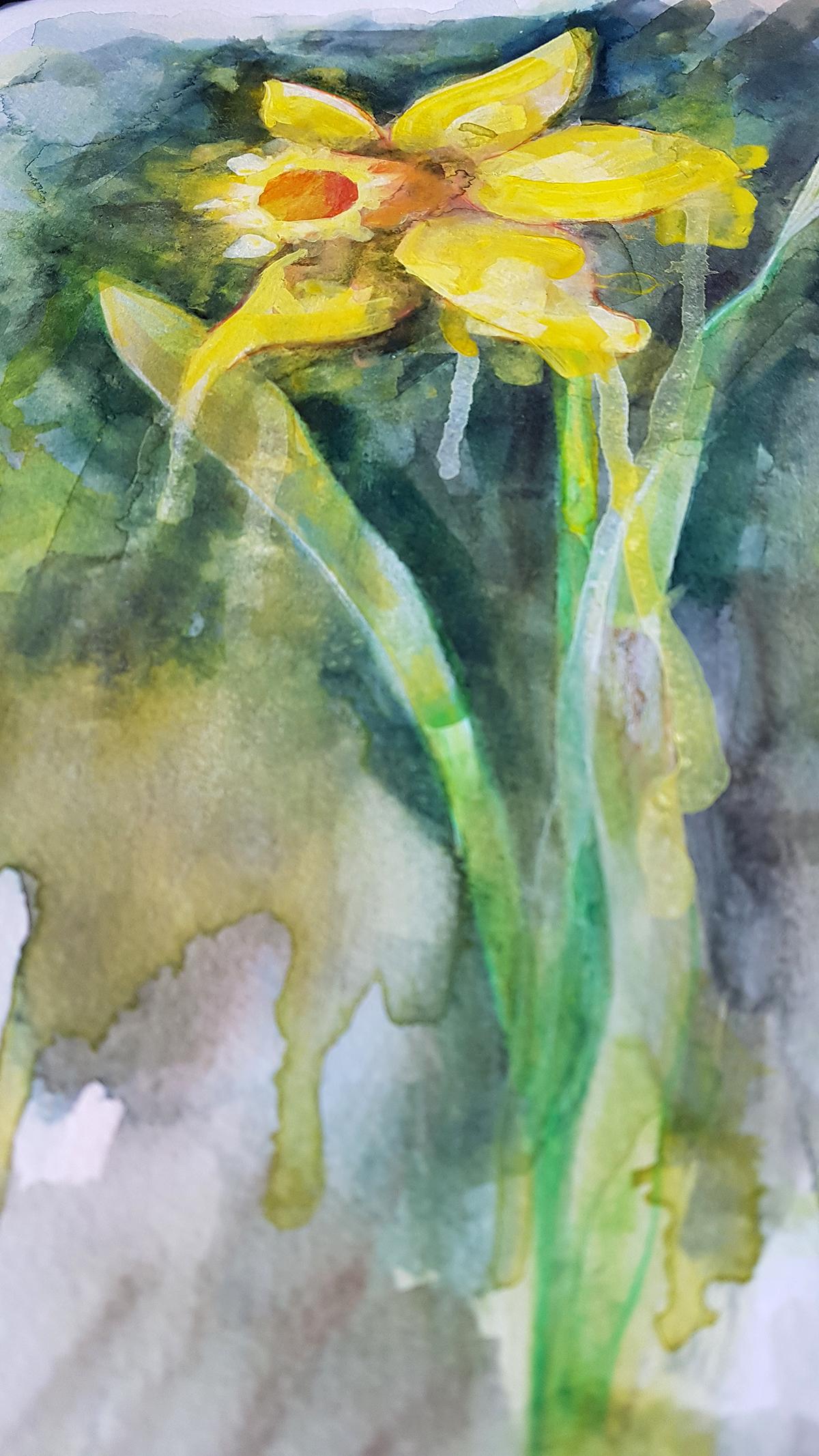 Daffodil by Gavin Dobson, contemporary art, original painting, watercolour paint 6