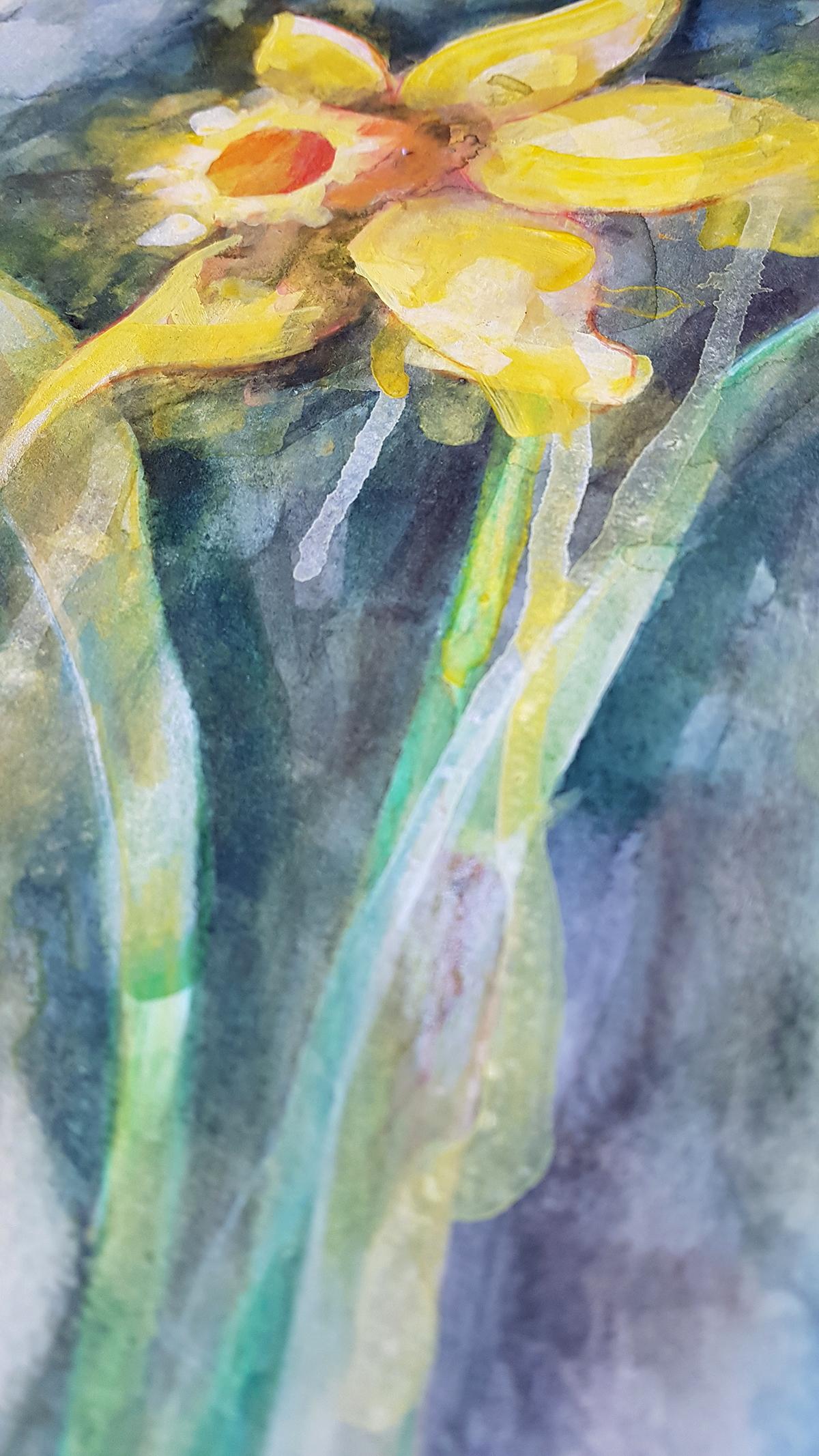 Daffodil by Gavin Dobson, contemporary art, original painting, watercolour paint 7