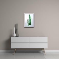 Gavin Dobson, Cactus, Watercolour, Affordable Art