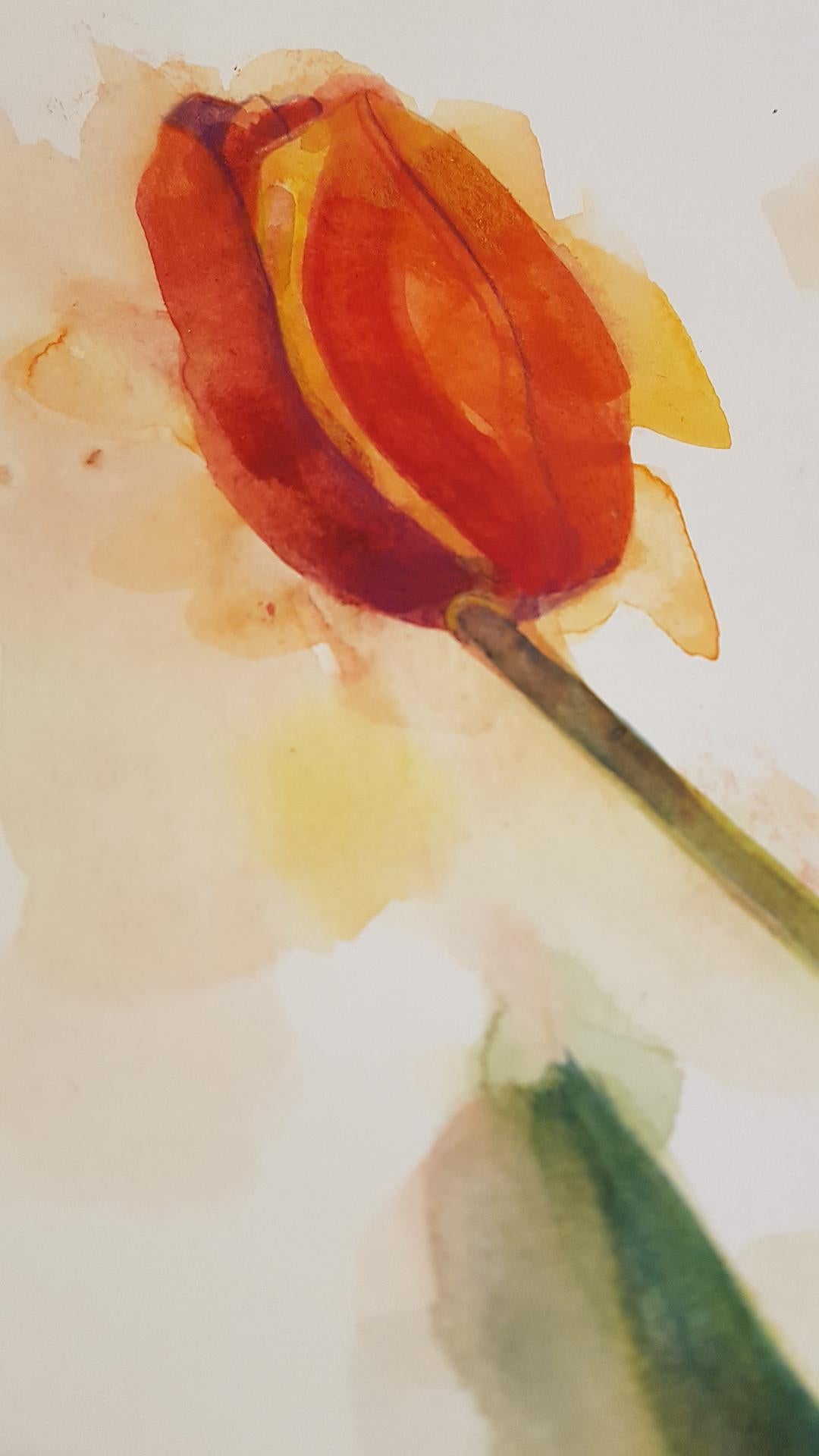 Gavin Dobson, Tulips, Original Still Life Painting, Floral Artwork, Bright Art 1