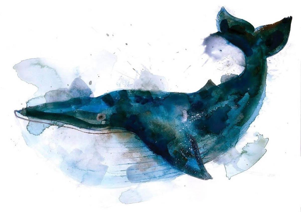 Blue Whale,  Gavin Dobson, Limited Edition Silkscreen Print. A four layer CYMK